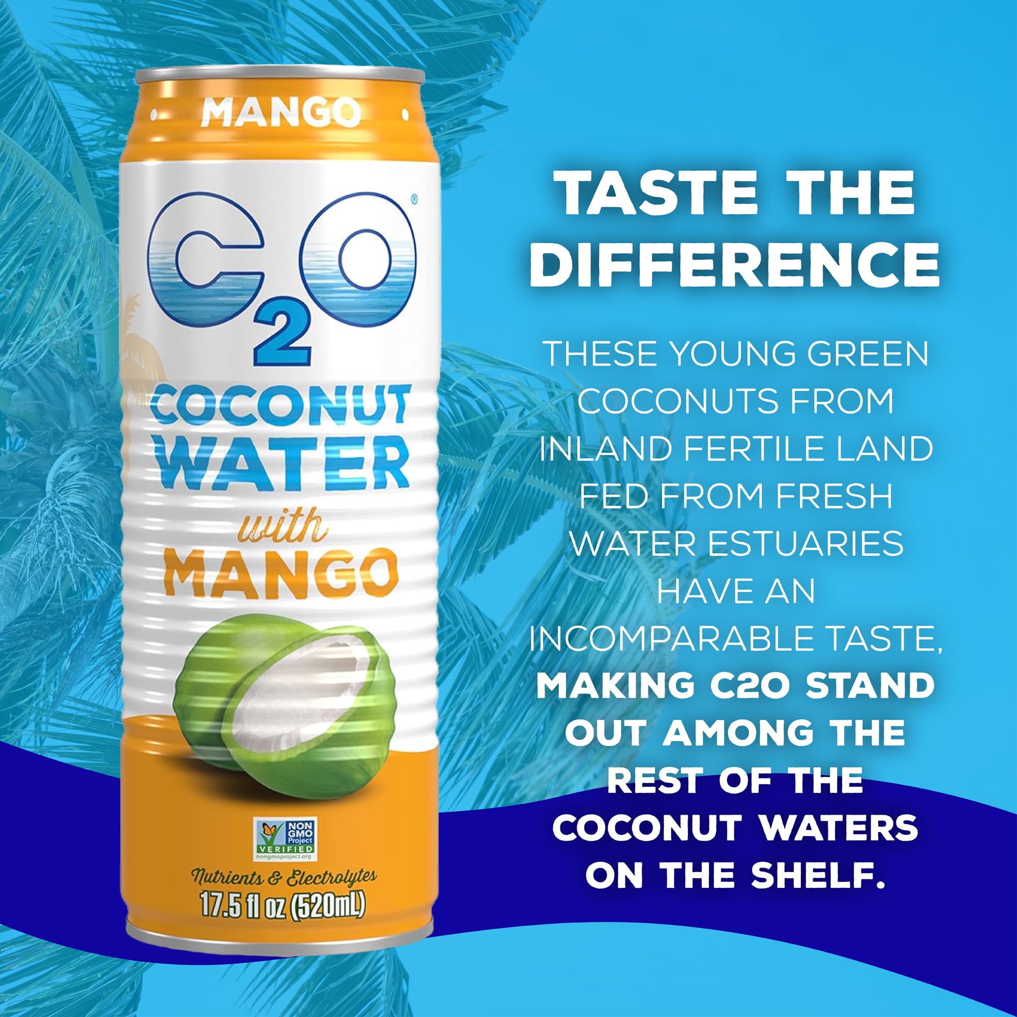 C2O - Coconut Water with Ginger, Lime, & Turmeric (12 Pack) - Made with Fresh Coconut Water - Plant Based - Non GMO - Canned Water - Natural Hydration, Electrolytes, & Potassium - 12 Cans, 17.5 FL OZ
