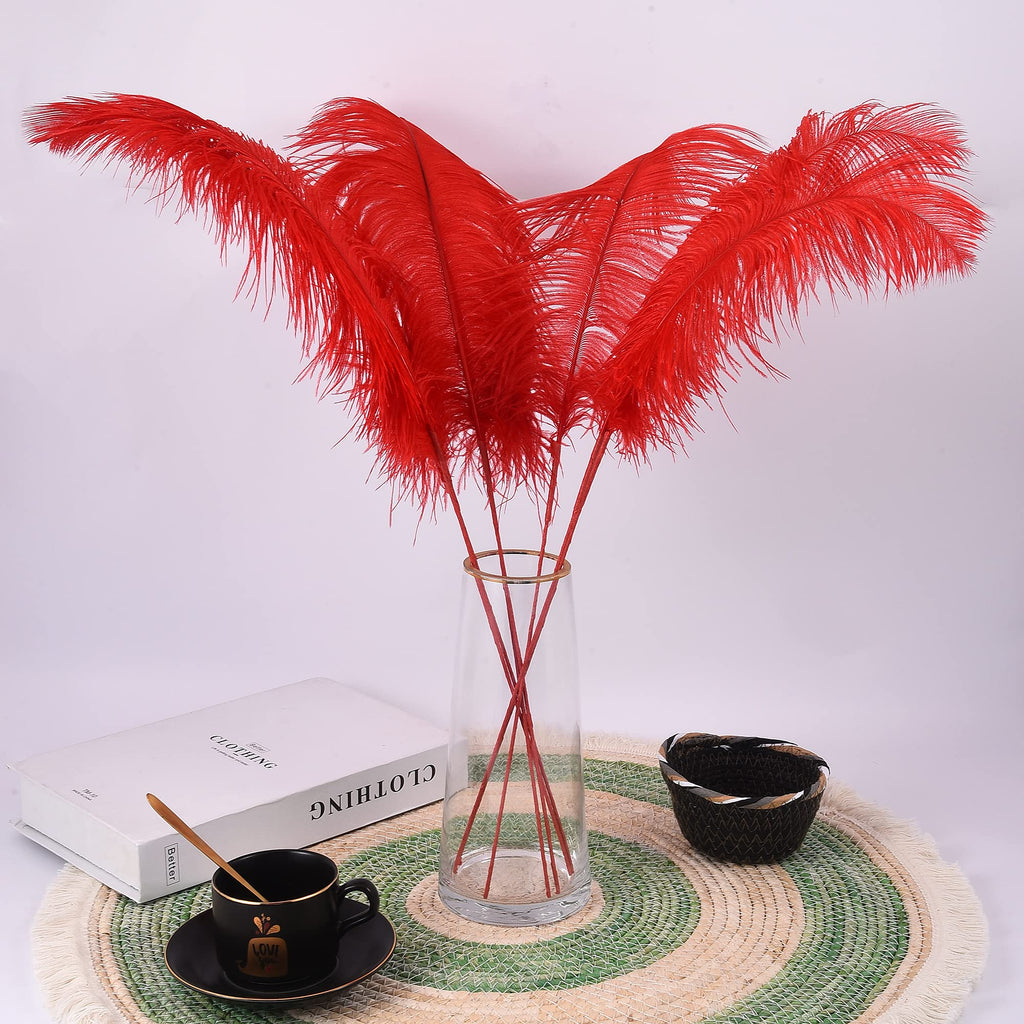 Ballinger Black Ostrich Feathers Bulk - Making Kit 12Pcs 16-18inch Large Ostrich Feathers for Floral Arrangement, Vase, Wedding Party Centerpieces and Halloween Home Decor