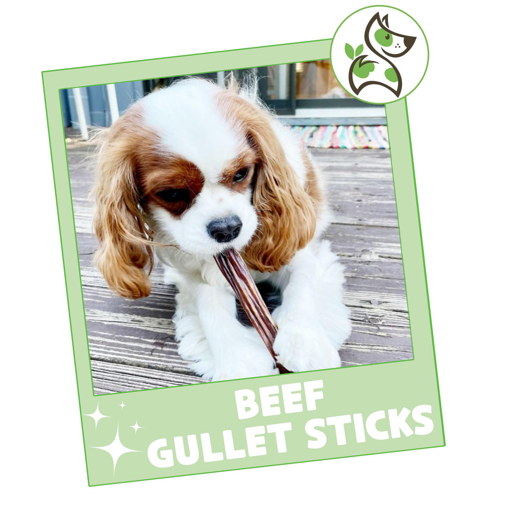 Nature Gnaws Beef Gullet Chews for Small Dogs 4-5" (20 Count) - Natural Beef Jerky Stick Dog Chew Treats - Rawhide Free