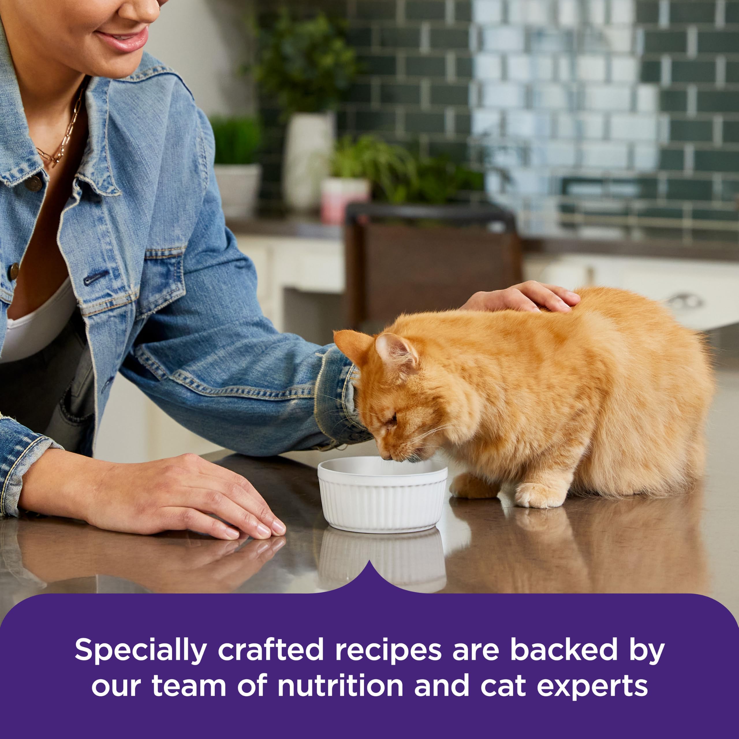 Nutrish Rachael Ray Purrfect Broths Classic Chicken Recipe, Lickable Complements for Cats, 1.4 oz. Pouch, 24 Count