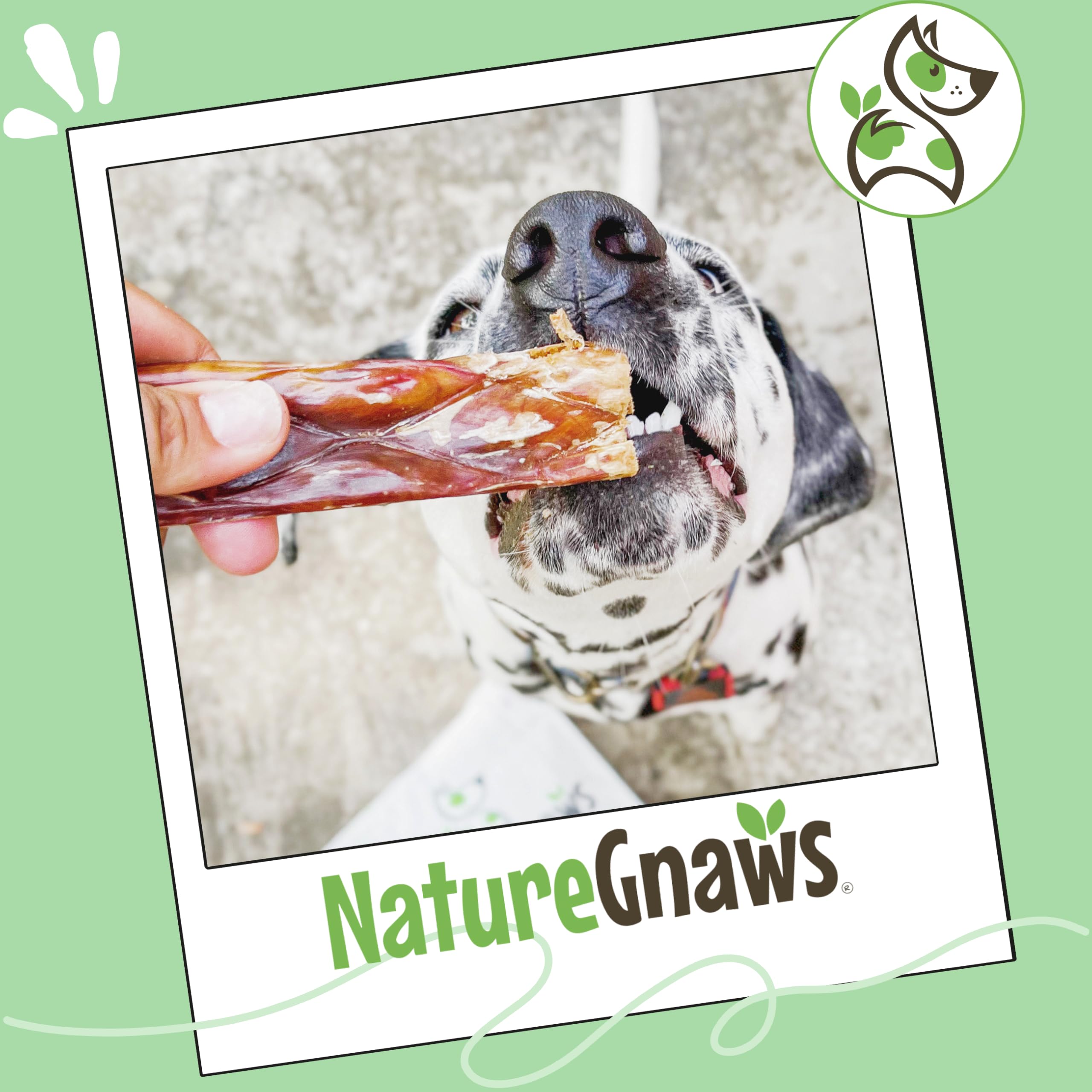 Nature Gnaws Beef Gullet Chews for Small Dogs 4-5" (20 Count) - Natural Beef Jerky Stick Dog Chew Treats - Rawhide Free