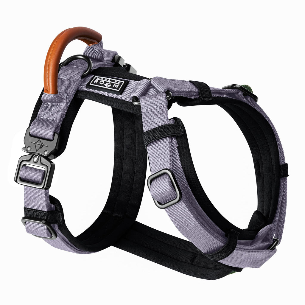 MADE TO ROAM Premium Explorer Harness - Y-Shaped Dog Harness with Adjustable Durable Nylon, Soft Padding, Metal Buckles and Leather Handle for Small, Medium, Large Dogs (Alaska Daybreak, Size 1)