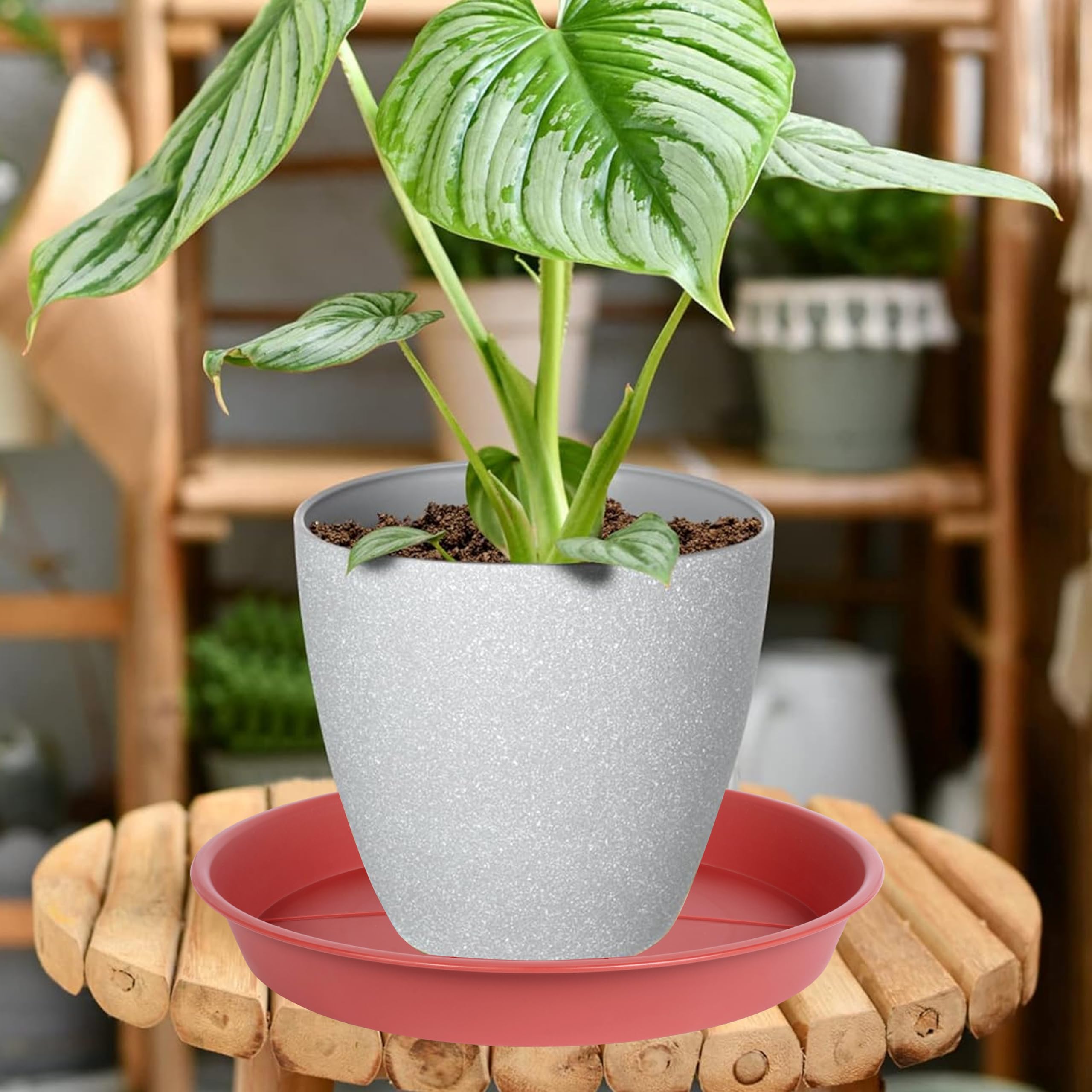 OVZILKI 6 Pack of Plant Saucer Tray 4 6 8 10 12 14 17 19 22 25 inch, Heavy Duty Plastic Pot Plant Drip Trays Saucers for Indoors Outdoor, Plant Water Tray for Planters 3-5" (4", Beige)