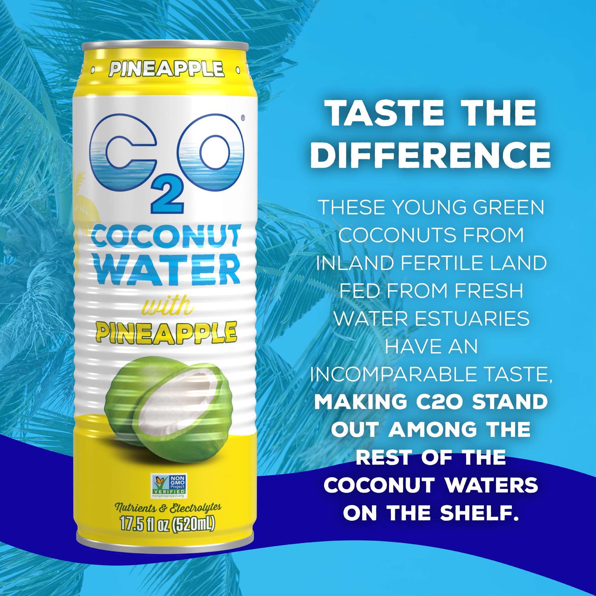C2O - Coconut Water with Ginger, Lime, & Turmeric (12 Pack) - Made with Fresh Coconut Water - Plant Based - Non GMO - Canned Water - Natural Hydration, Electrolytes, & Potassium - 12 Cans, 17.5 FL OZ