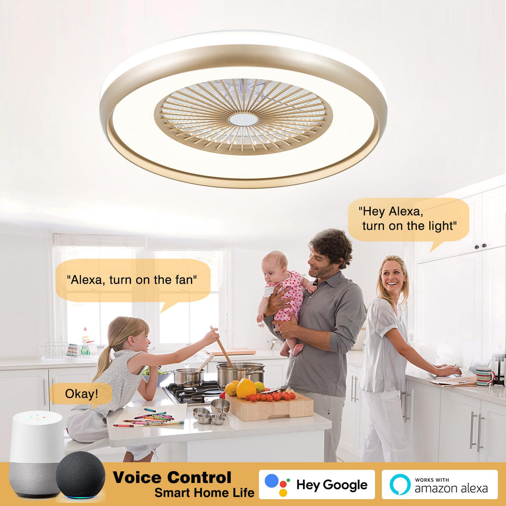 24" Bladeless Ceiling Fan with Light Remote, Smart LED Ceiling Fans with App Control, Modern Low Profile Dimmable Light Ceiling Fan for Bedroom Living Room Gold