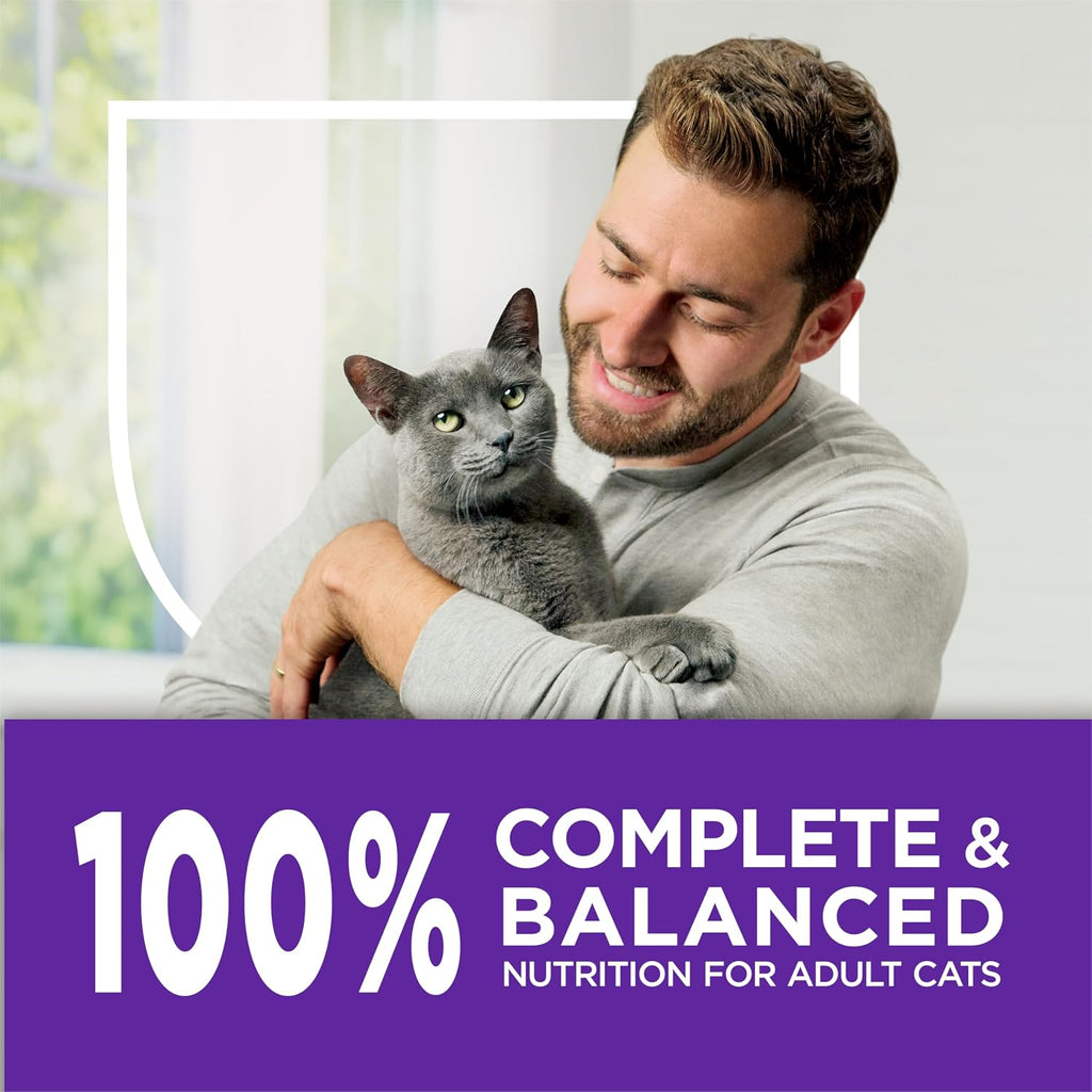 Purina Cat Chow Gentle Sensitive Stomach and Skin Dry Cat Food with Turkey - (Pack of 4) 3.15 lb. Bags