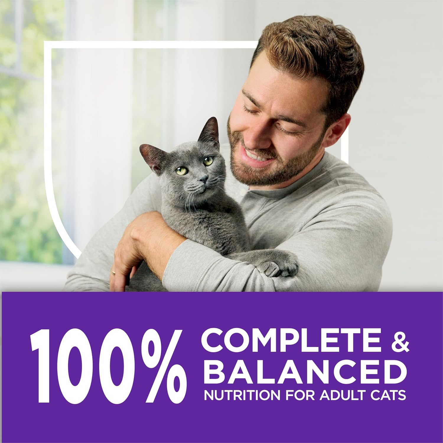 Purina Cat Chow Gentle Sensitive Stomach and Skin Dry Cat Food with Turkey - (Pack of 4) 3.15 lb. Bags