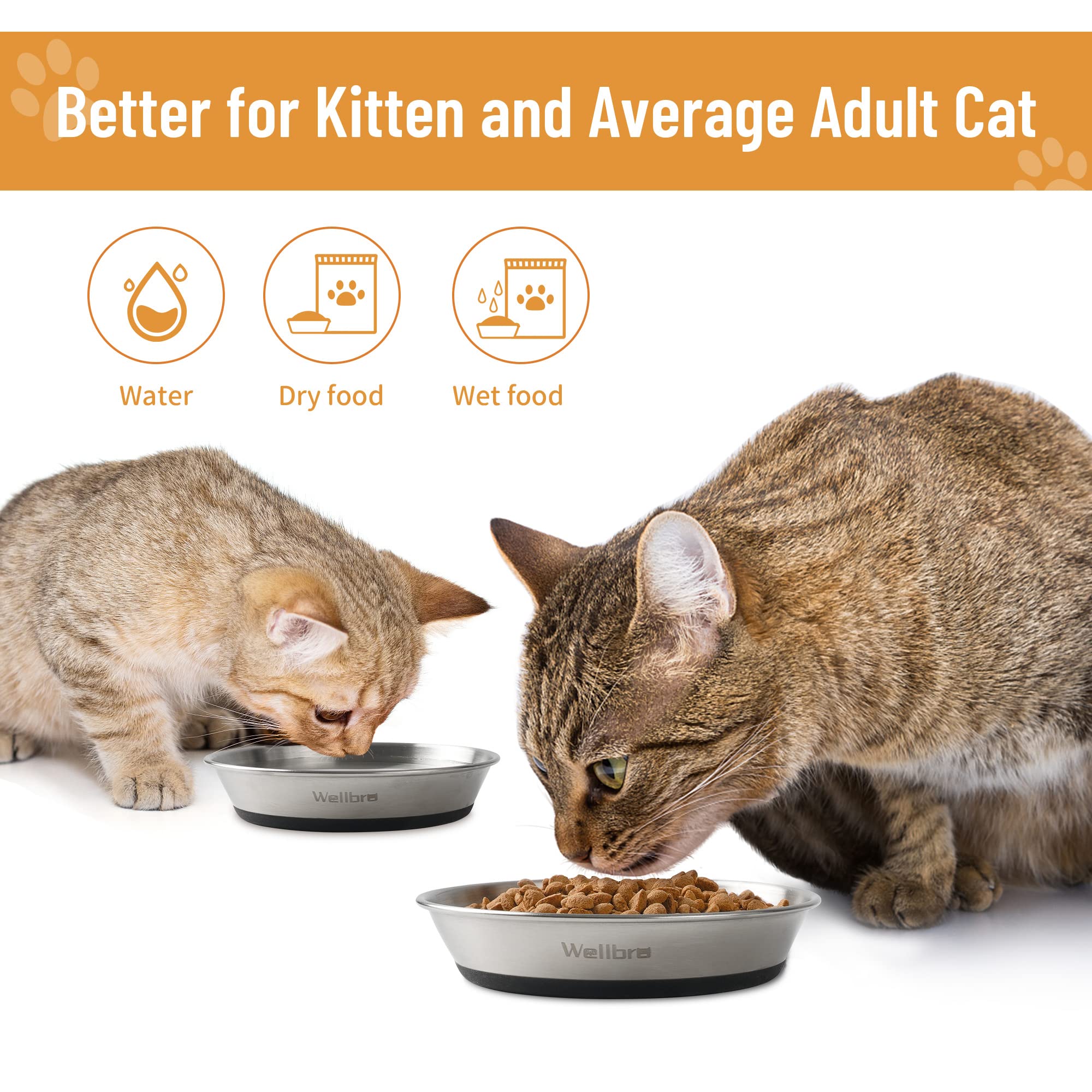 Cat Bowls, Stainless Steel Cat Bowls for Food and Water, Whisker Fatigue Shallow Non-Slip Dishes Plates for Small Dog Puppies Cats