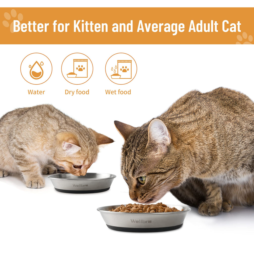 Cat Bowls, Stainless Steel Cat Bowls for Food and Water, Whisker Fatigue Shallow Non-Slip Dishes Plates for Small Dog Puppies Cats