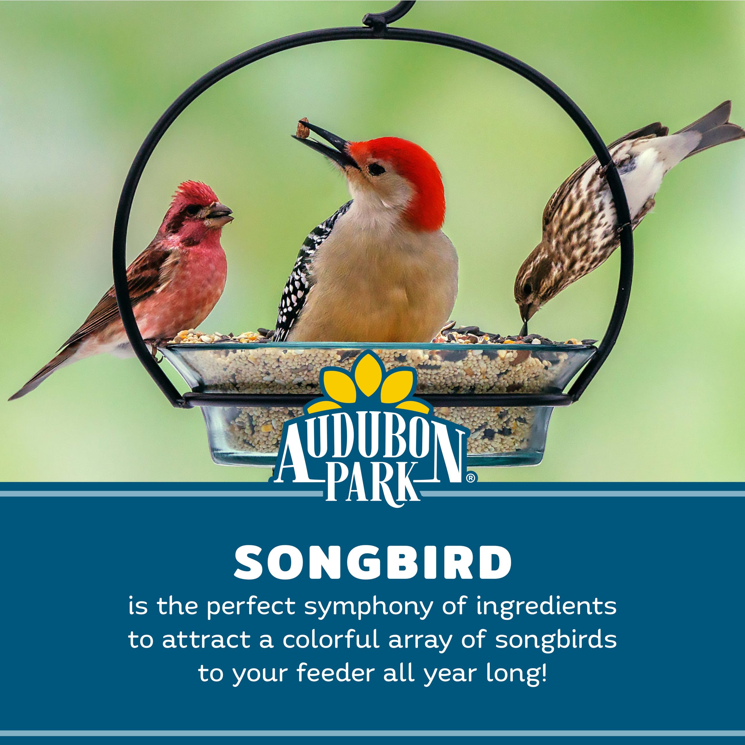 Audubon Park Songbird Blend Wild Bird Food, Bird Food for Outside Feeders, 14-Pound Bag | Year-round outdoor bird food for outside feeders