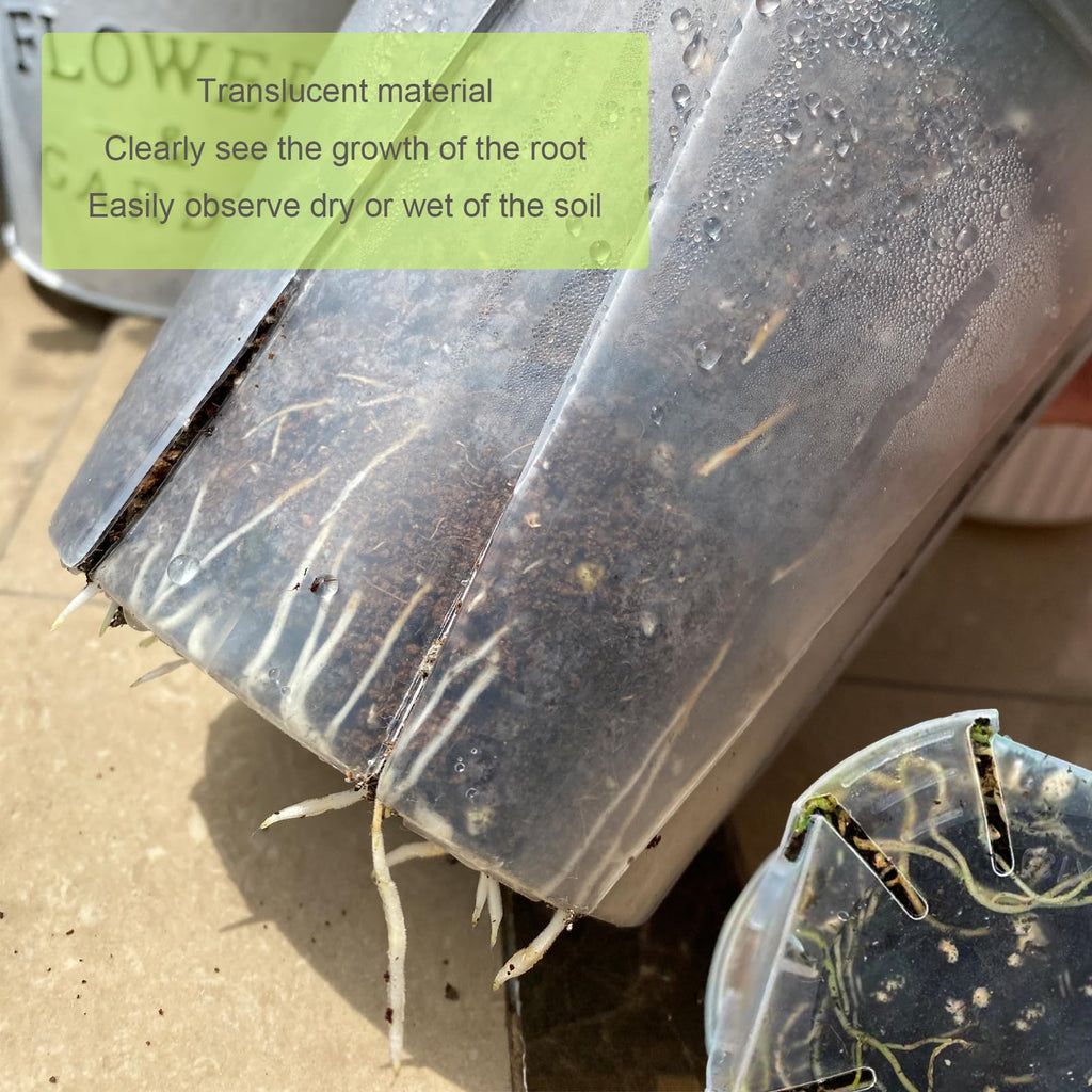 24 pcs 6/5 inch Clear Nursery pots for Plants Saucers,5/6 inch Clear Heavy pots with Side Vents for Reporting Orchids,Aroid,Monstera, Indoor & Outdoor use