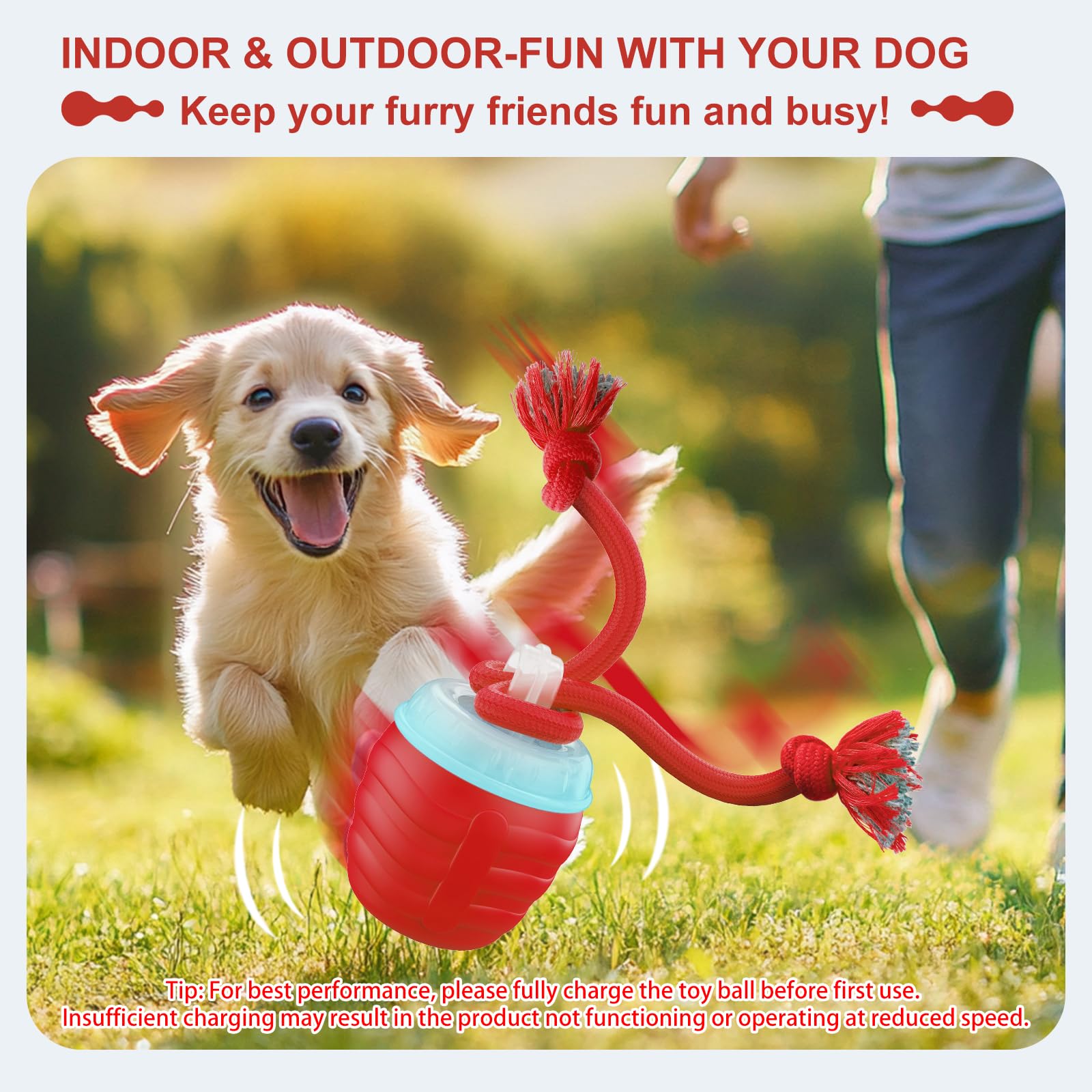 Interactive Dog Toy, [Newly Upgraded] Motion Activated Rolling Squeaky Ball for Medium/Large Dogs, Automatic Moving Dogs Ball for Boredom, USB Rechargeable(Cyan)