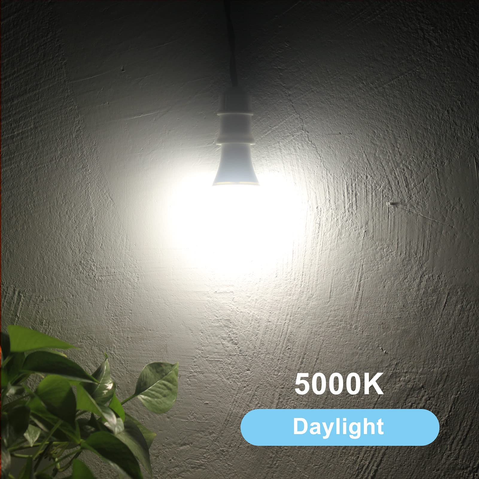 Qualilux Dusk to Dawn A19 LED Light Bulbs 850LM, 60W Equivalent, Daylight, Energy-Efficient 9.5W, A19, E26 Base, 2-Pack, HQ-H011