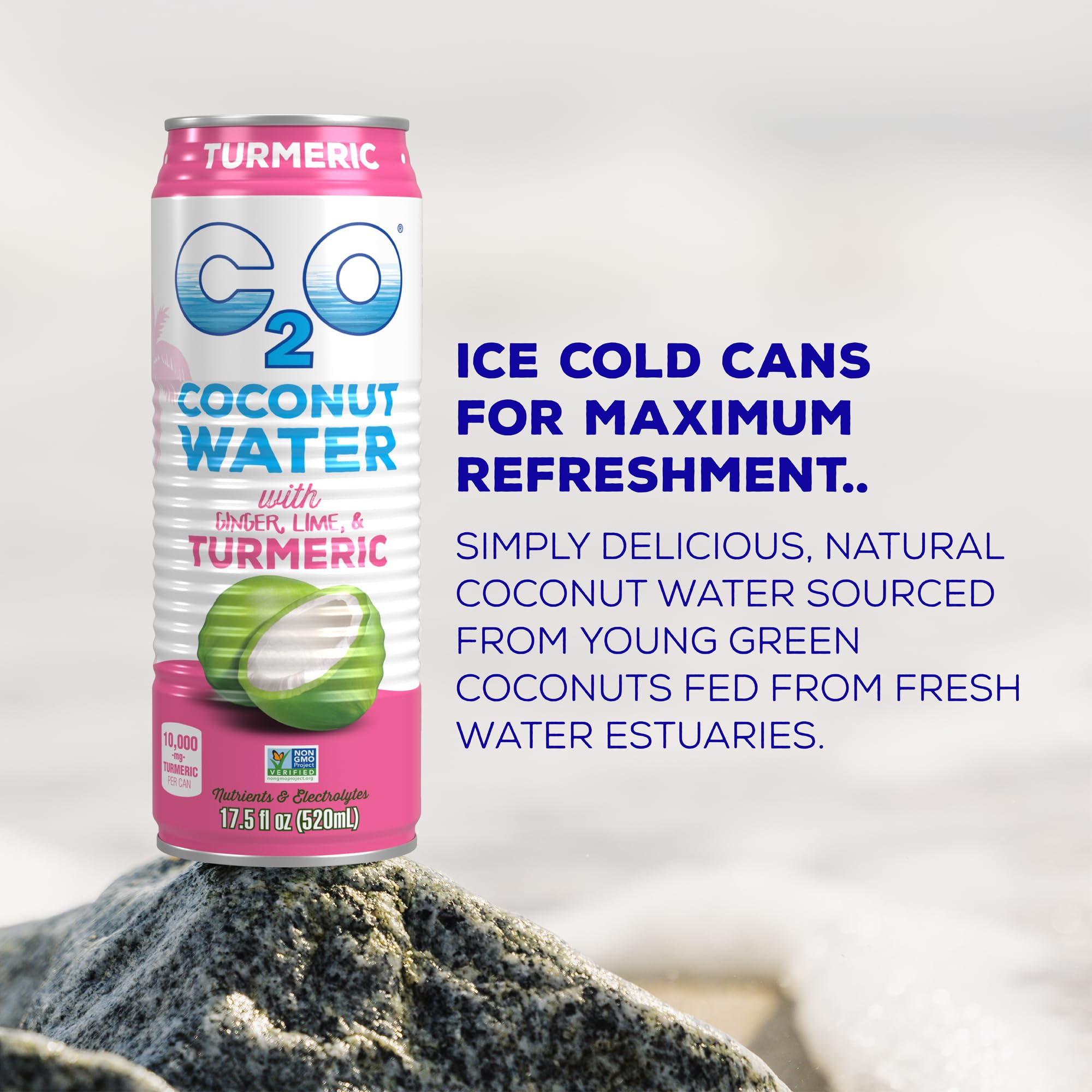 C2O - Coconut Water with Ginger, Lime, & Turmeric (12 Pack) - Made with Fresh Coconut Water - Plant Based - Non GMO - Canned Water - Natural Hydration, Electrolytes, & Potassium - 12 Cans, 17.5 FL OZ