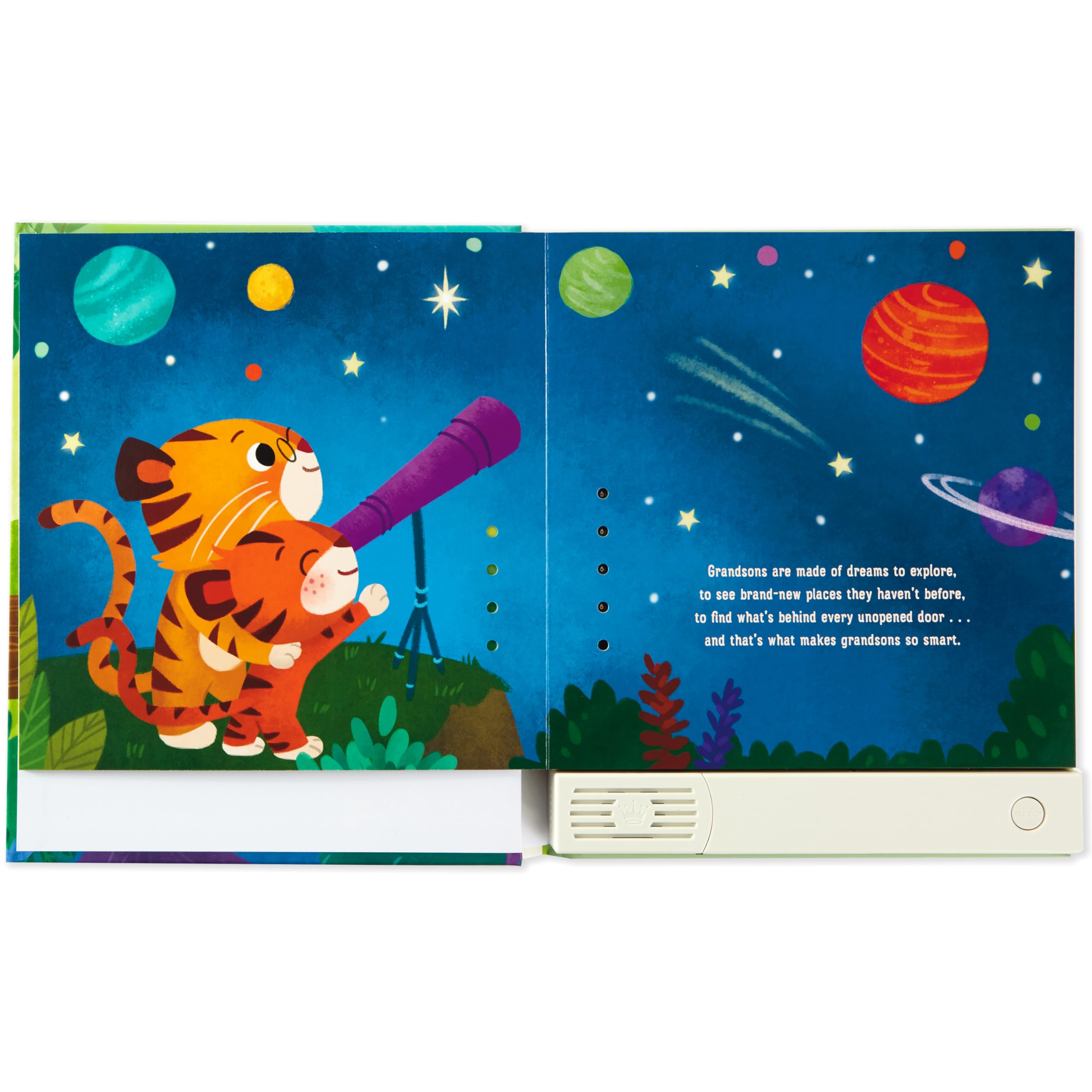 Hallmark Recordable Storybook with Music (I Love You Like) Easter Basket Stuffers