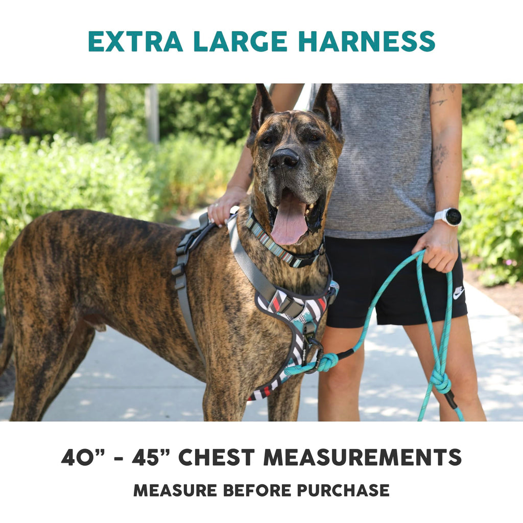 Embark Adventure Dog Harness for Small, Medium & Large Dogs – No Pull, Reflective Trim, Heavy Duty Oxford, 2 Leash Clips, Gel-Lined Handle, Soft Padded