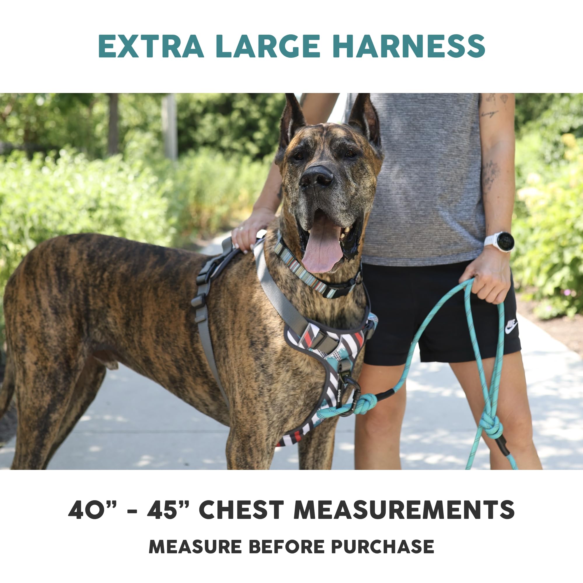 Embark Adventure Dog Harness for Small, Medium & Large Dogs – No Pull, Reflective Trim, Heavy Duty Oxford, 2 Leash Clips, Gel-Lined Handle, Soft Padded