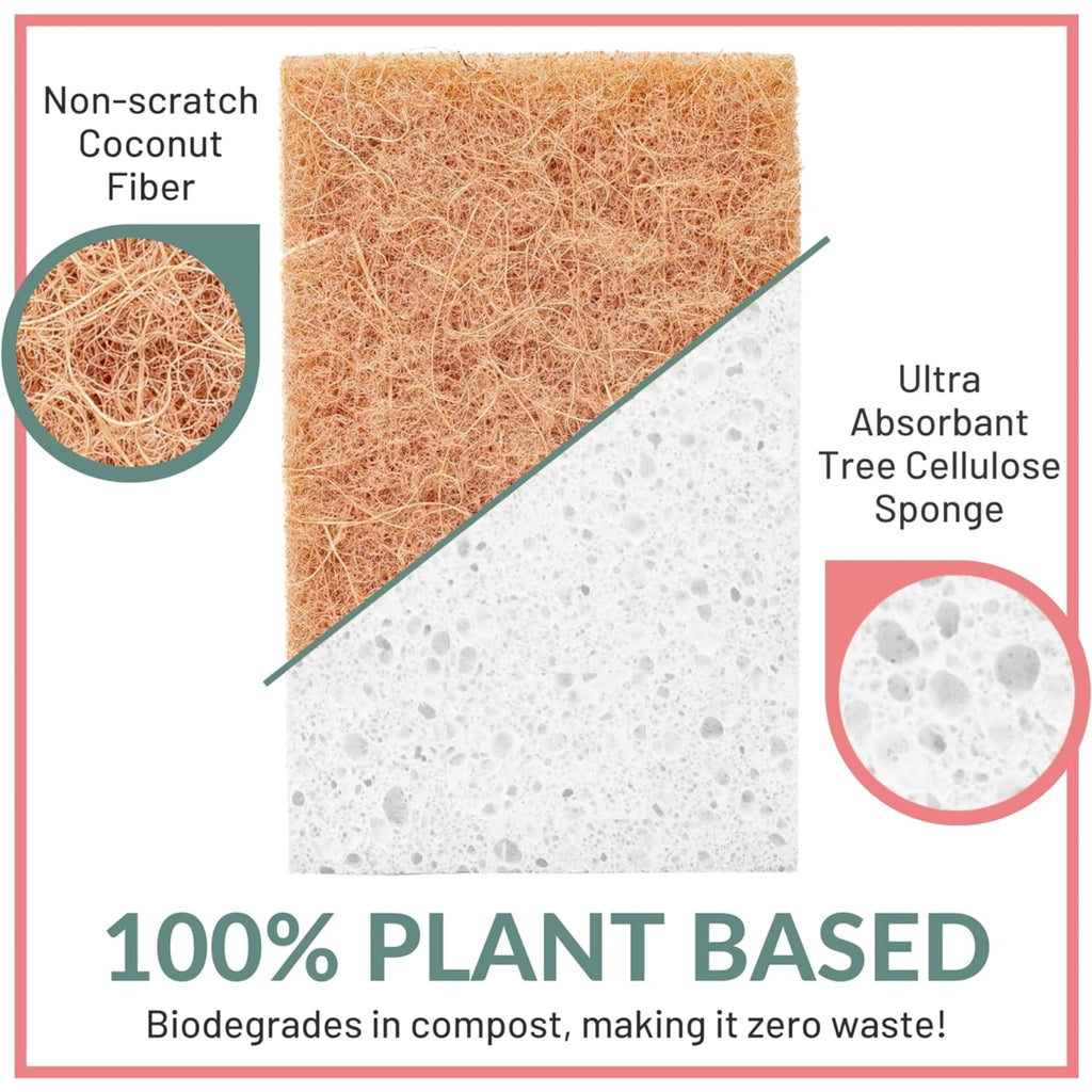 bioGo 30 Pack Compostable Pop-Up Sponges - Expanding, Non-Scratch, Plant-Based Dish - Bulk Color - Pop Up Sponge - Kitchen