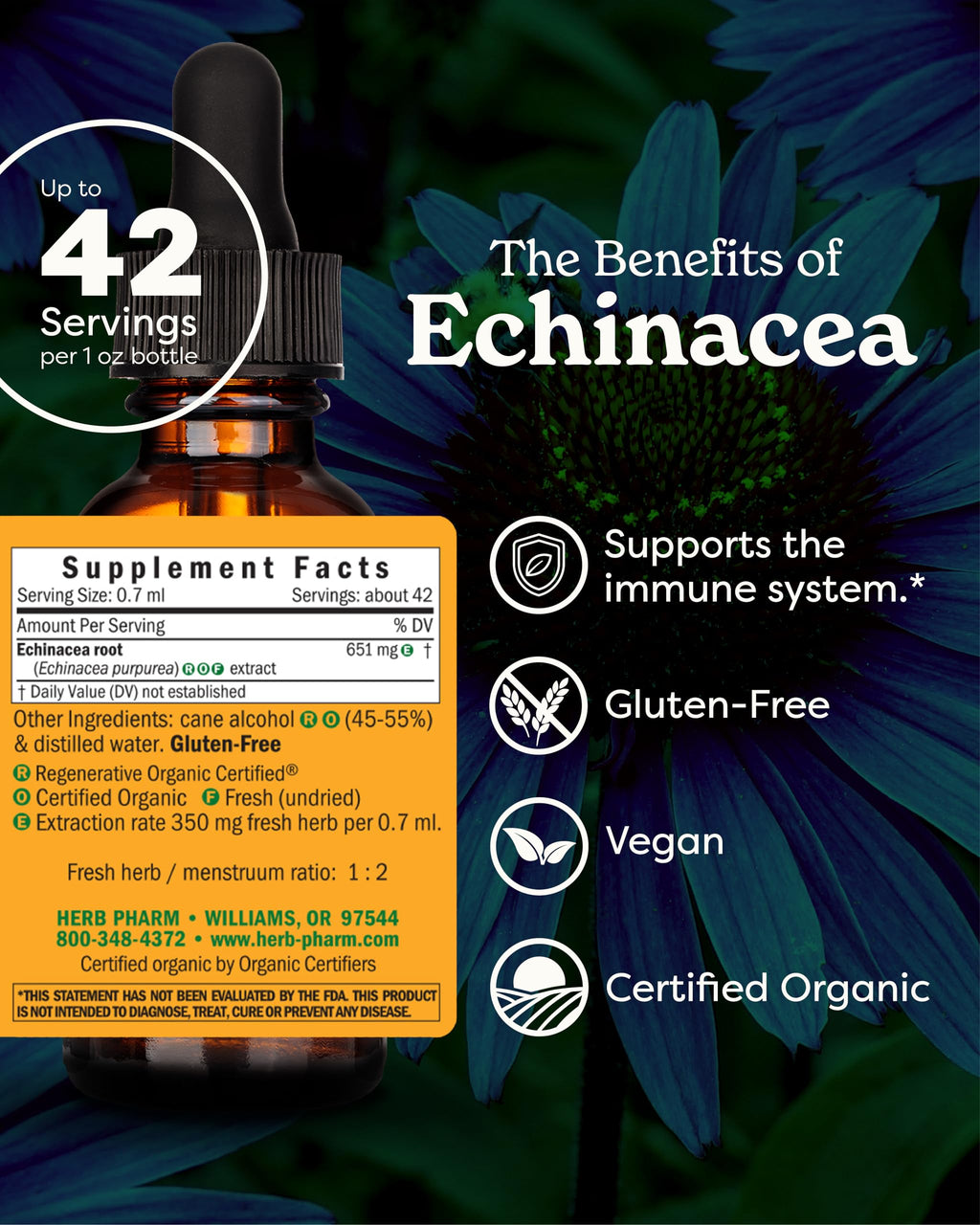 Herb Pharm Echinacea Alcohol-Free Extract: Immune System Support for All Seasons | Fast-Absorbing Echinacea Root Organic Supplement | Non-GMO, Vegan & Gluten-Free | Glycerite Liquid | 1 oz