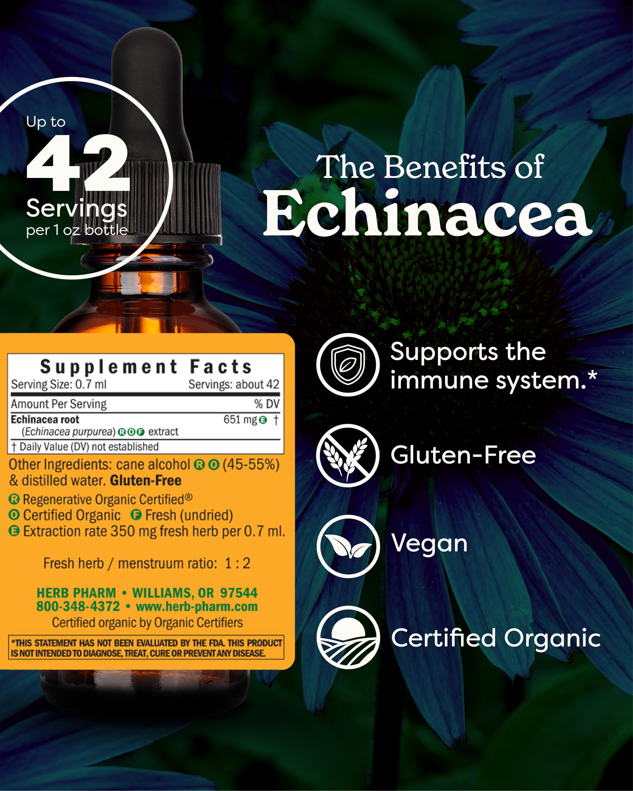 Herb Pharm Echinacea Alcohol-Free Extract: Immune System Support for All Seasons | Fast-Absorbing Echinacea Root Organic Supplement | Non-GMO, Vegan & Gluten-Free | Glycerite Liquid | 1 oz