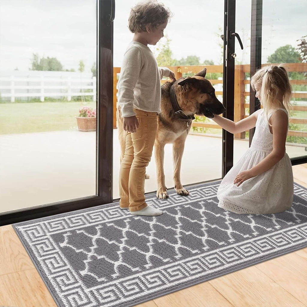 Pauwer Door Mat Indoor Entrance 20"x60" Absorbent Dirt Trapper Welcome Mats for Front Door Washable Entryway Rugs Ultra Thin Doormat Non Slip Runner Rugs for Hallway Kitchen Laundry Room, Beige
