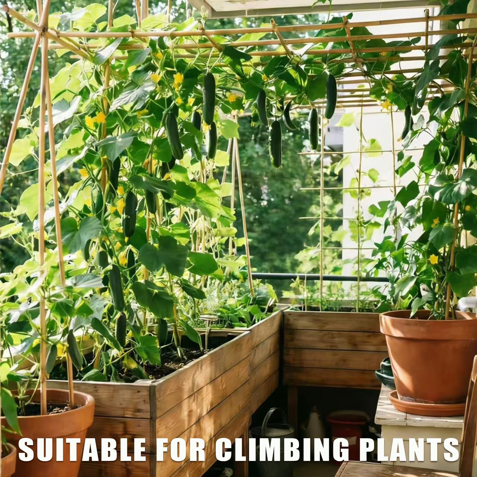 Plant Bamboo Post,3Feet,Bamboo Garden Stakes,50PcsBamboo Stakes,for Tomato,Beans,Vegetable and Flowers, Potted Plants,Indoor and Outdoor Climbing Plants