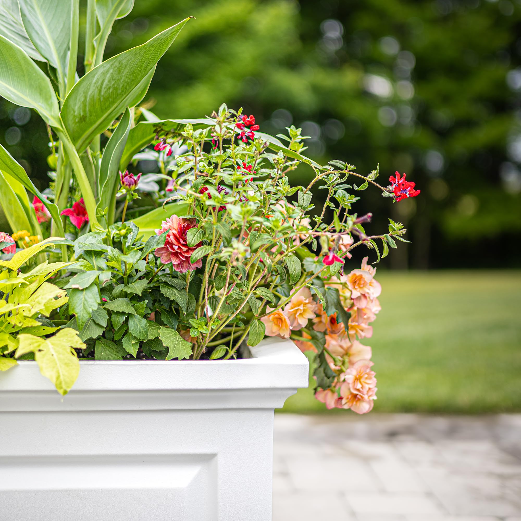 Mayne Nantucket 20-Inch Square Planter – Self-Watering, Weather-Resistant Planter for Flowers – Durable Outdoor Design for Patio, Porch, or Entryway