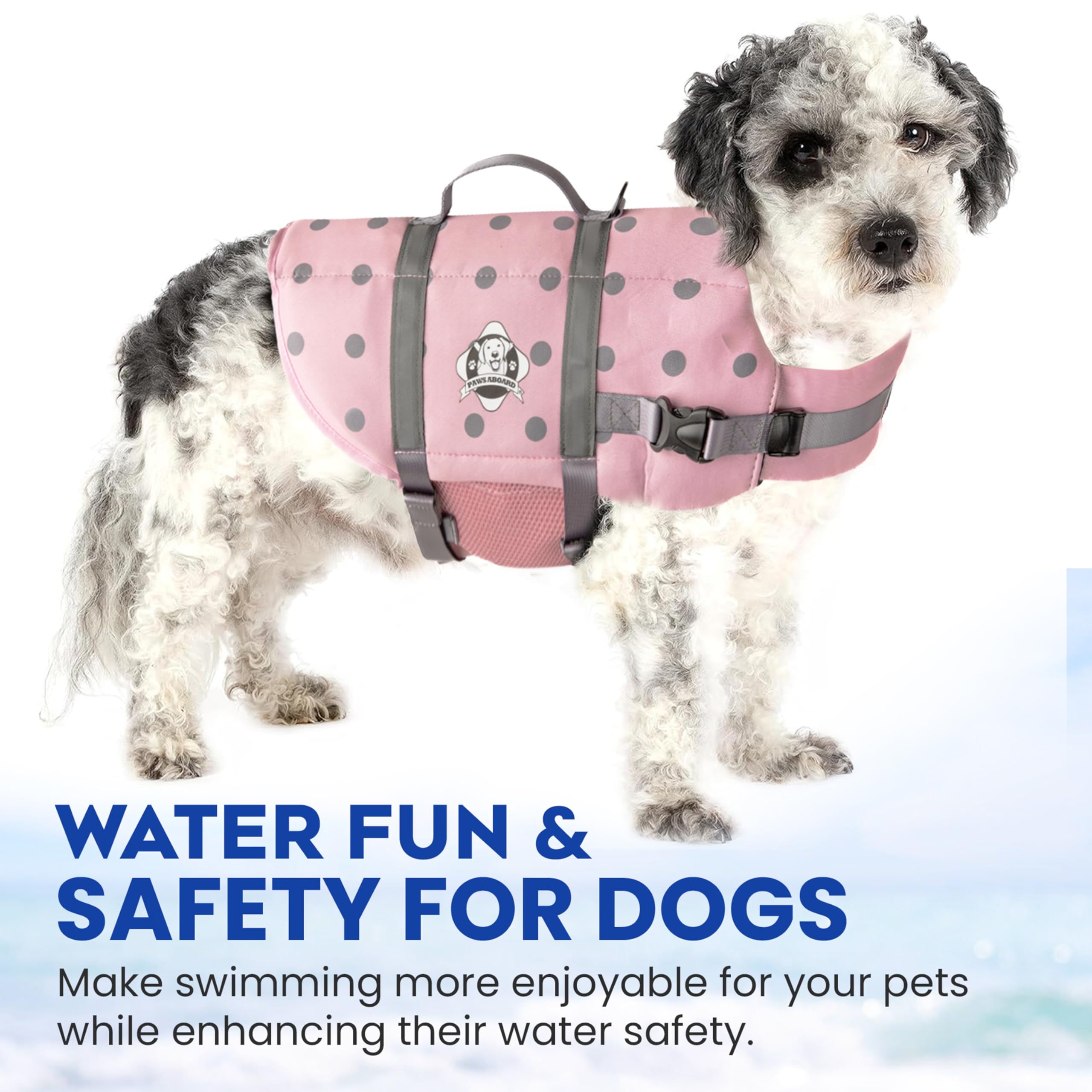Dog Life Jacket — Premium Swim Vest with SafeChin Anti-Choke Collar | PAWS Aboard Blue & Yellow | RapidLift Rescue Handle, D-Ring, Reflective Trim | Boating, Kayaking, Pool | XX-Small (Under 6 lbs)