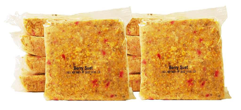 ST. ALBANS BAY SUET PLUS Suet Cake Variety Packs | 11 oz. Wild Bird Suet Cakes | (Apple, 10 Pack)