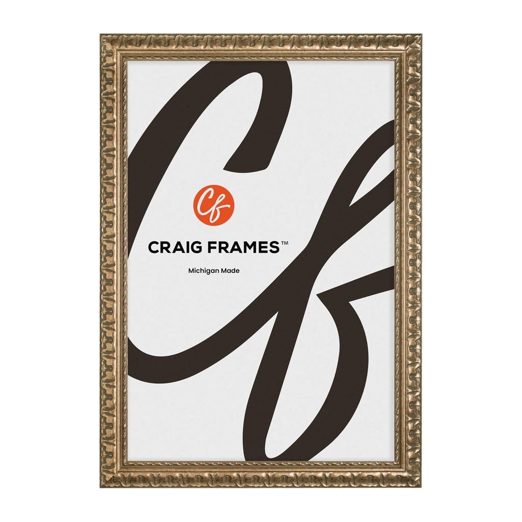 Craig Frames Bravado Ornate Antique Bronze Picture Frame, 4 by 6-Inch