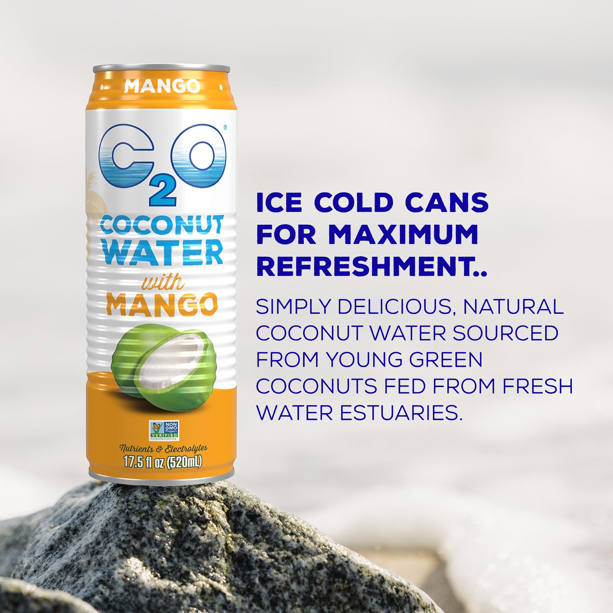 C2O - Coconut Water with Ginger, Lime, & Turmeric (12 Pack) - Made with Fresh Coconut Water - Plant Based - Non GMO - Canned Water - Natural Hydration, Electrolytes, & Potassium - 12 Cans, 17.5 FL OZ