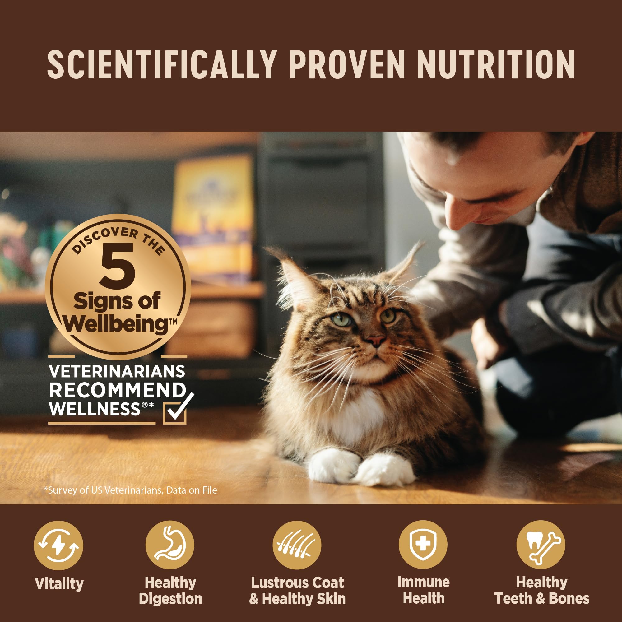 Wellness CORE Tiny Tasters Pate Adult Wet Cat Food, Natural, Protein Rich, Grain Free, Chicken Recipe, 1.75 oz, Pack of 12 Pouches