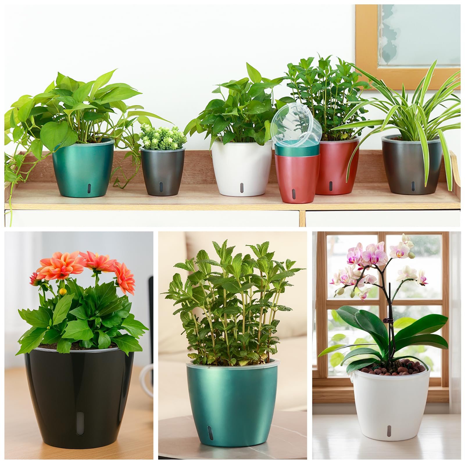 Self-Watering Pots for Indoor Plants, 16-Pack Self Watering Planter with Drainage Holes, Small African Violet Pots with Water Indicator, 10-Pack 5''/6-Pack 6.7'' Orchid Pot, Black