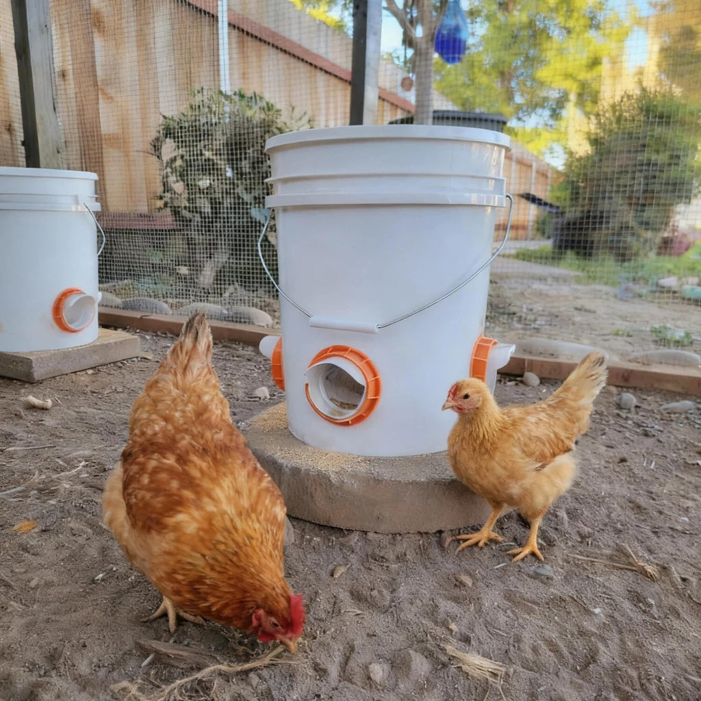 Chicken Feeder Port, 6 Pack Chicken Feeders No Waste with 6 Lids 1 Drill Bit, DIY Automatic Poultry Feeder Cups Kit, Chicken Bucket Feeder for Barrels (White)
