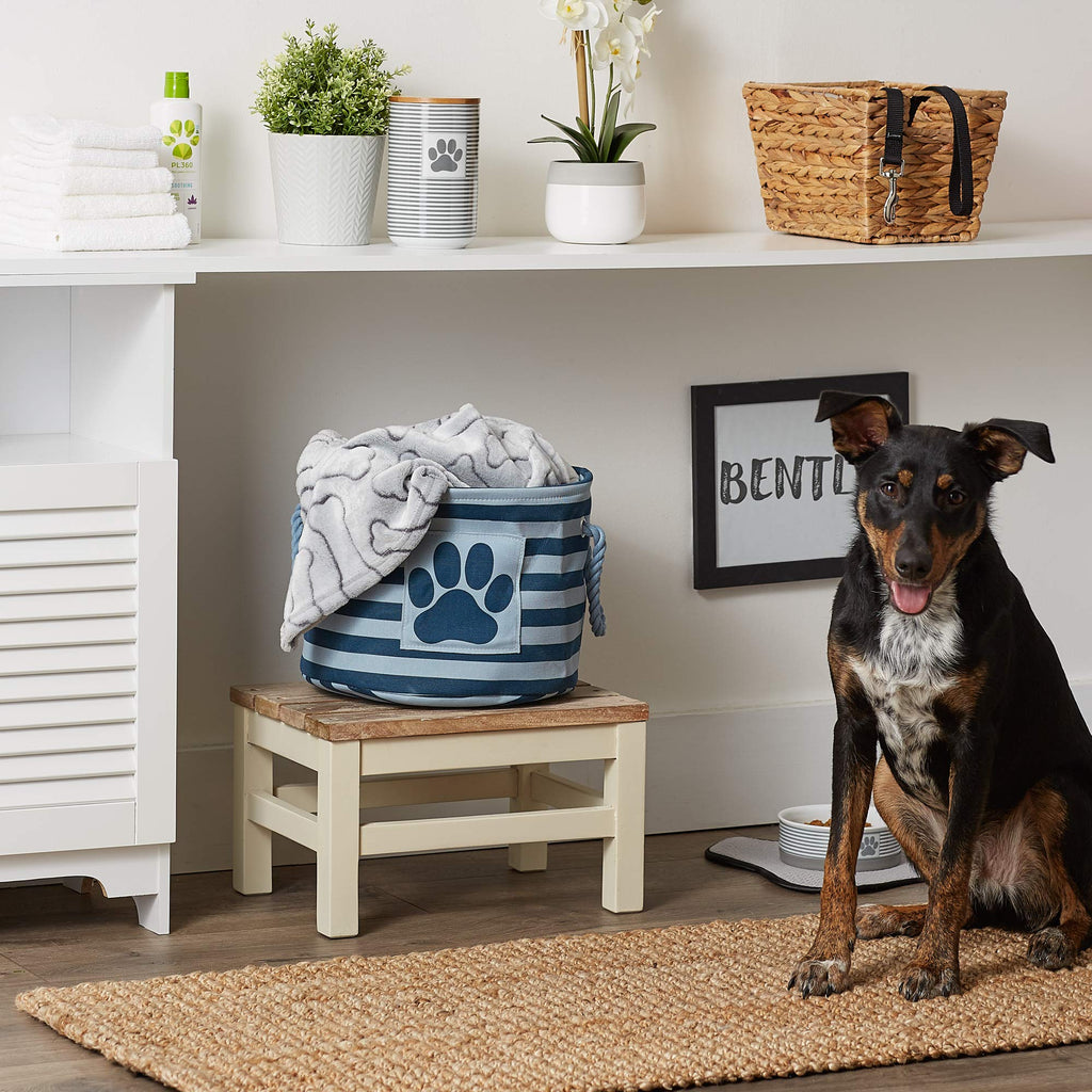 Bone Dry Pet Storage Collection Striped Paw Patch Bin, Aqua, Small Rectangle