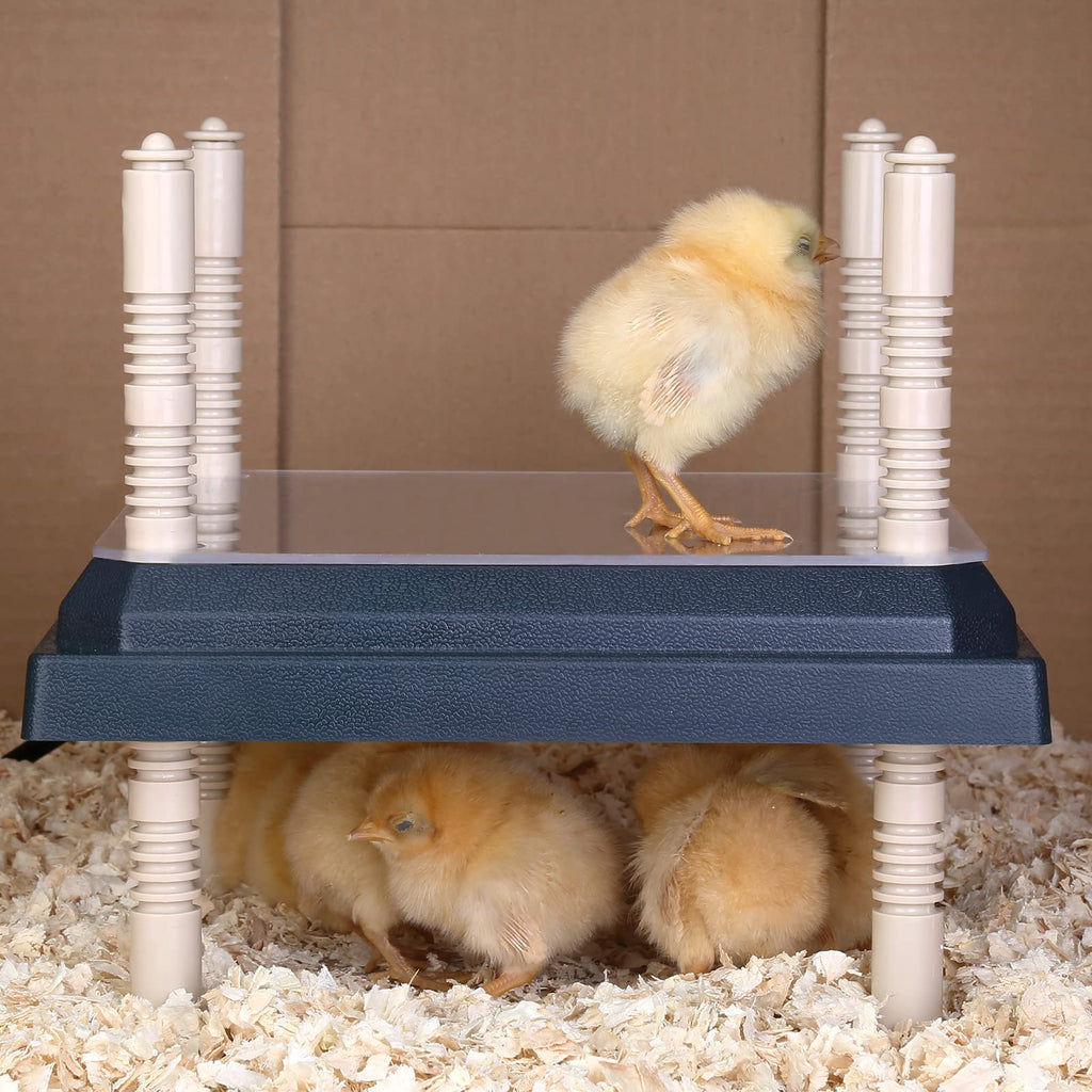 Brooder Heater for Chicks: Chick Brooder Heating Plate with Easy- Cleaning Plate Poultry Coop Heater Chicks Warmer 10" x 10" for 15 Chicks Adjustable Height Brooding Heater 15 Watts