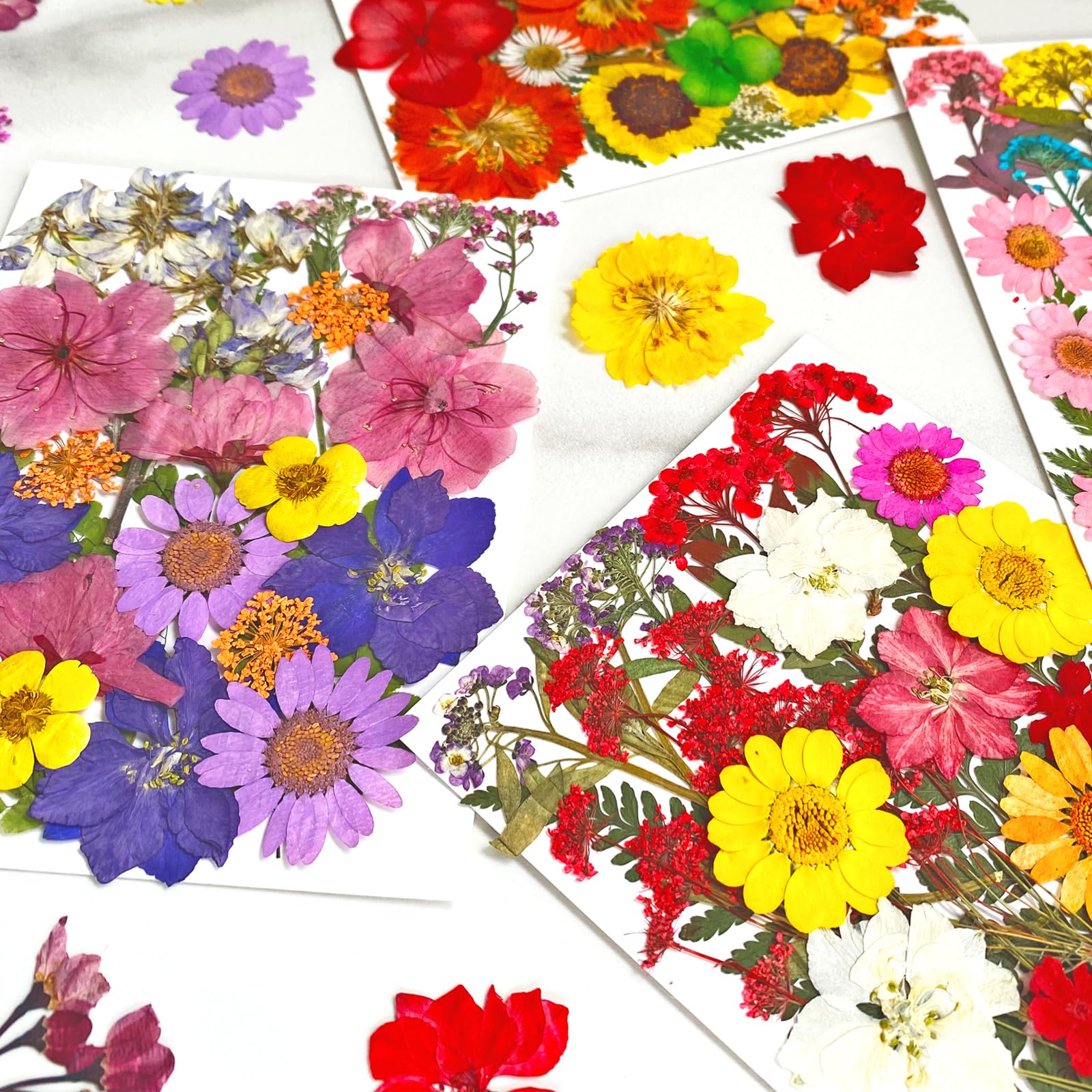 MIKIYA 98Pcs Pressed Dried Flowers for Resin Molds, Real Natural Bulk Big Dry Floral Leave for DIY Art Crafts, Epoxy Jewelry, Candle, Soap Making, Nails Decors