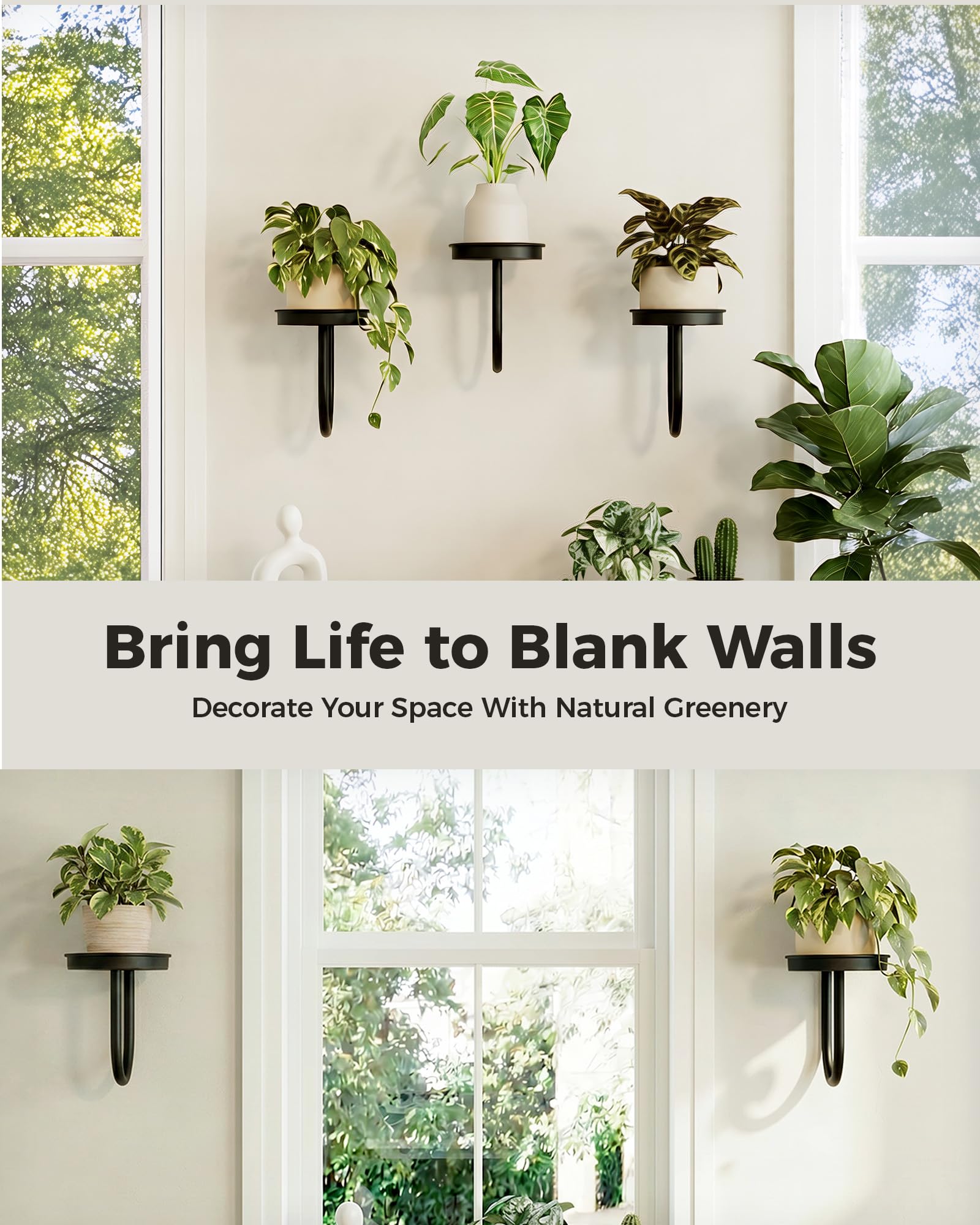 Bamworld Hanging Planters for Indoor Plants Wall Plant Holder Plant Hanger Indoor Wall Planters Window Plant Shelves Hanging Plant Holder Window Plant Hanger Plant Decor Black 3pcs