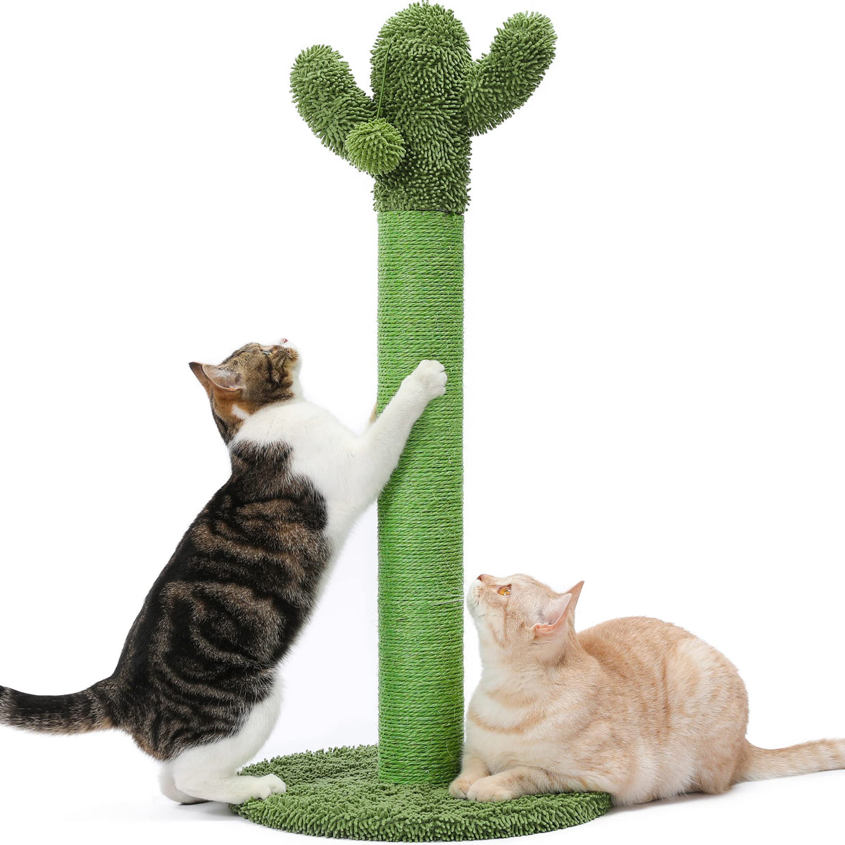 Made4Pets Cat Scratching Post, 21.7" Cactus Cat Scratcher Kitten Scratching Post with Natural Sisal Rope for Indoor Cats Claw Scratcher, Cat Tree with Dangling Balls for Small Kittens