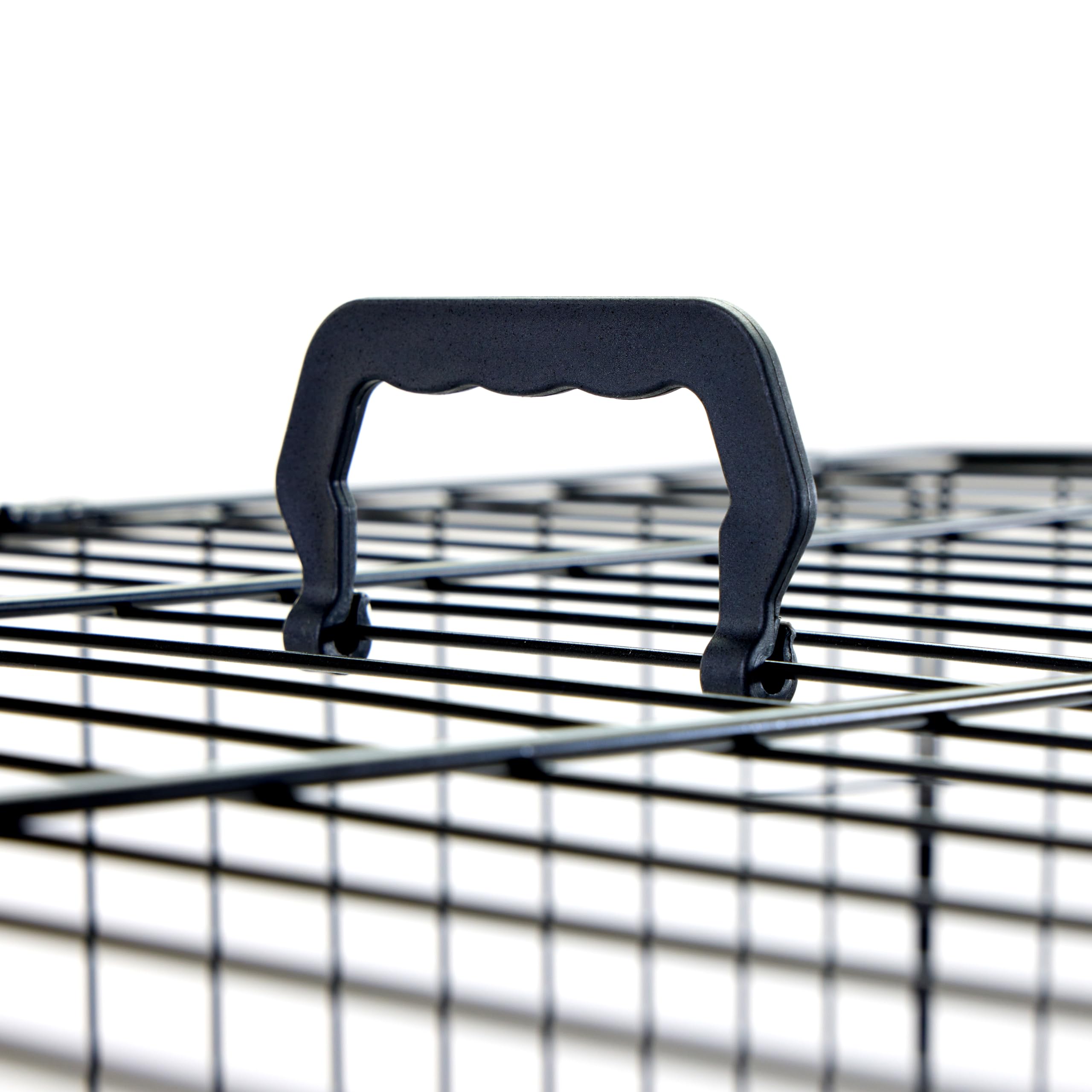 Carlson Secure and Compact Double Door Metal Dog Crate, Medium with Divider Panel