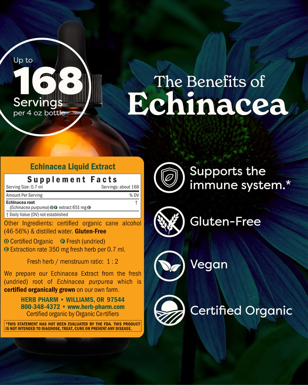 Herb Pharm Echinacea Alcohol-Free Extract: Immune System Support for All Seasons | Fast-Absorbing Echinacea Root Organic Supplement | Non-GMO, Vegan & Gluten-Free | Glycerite Liquid | 1 oz