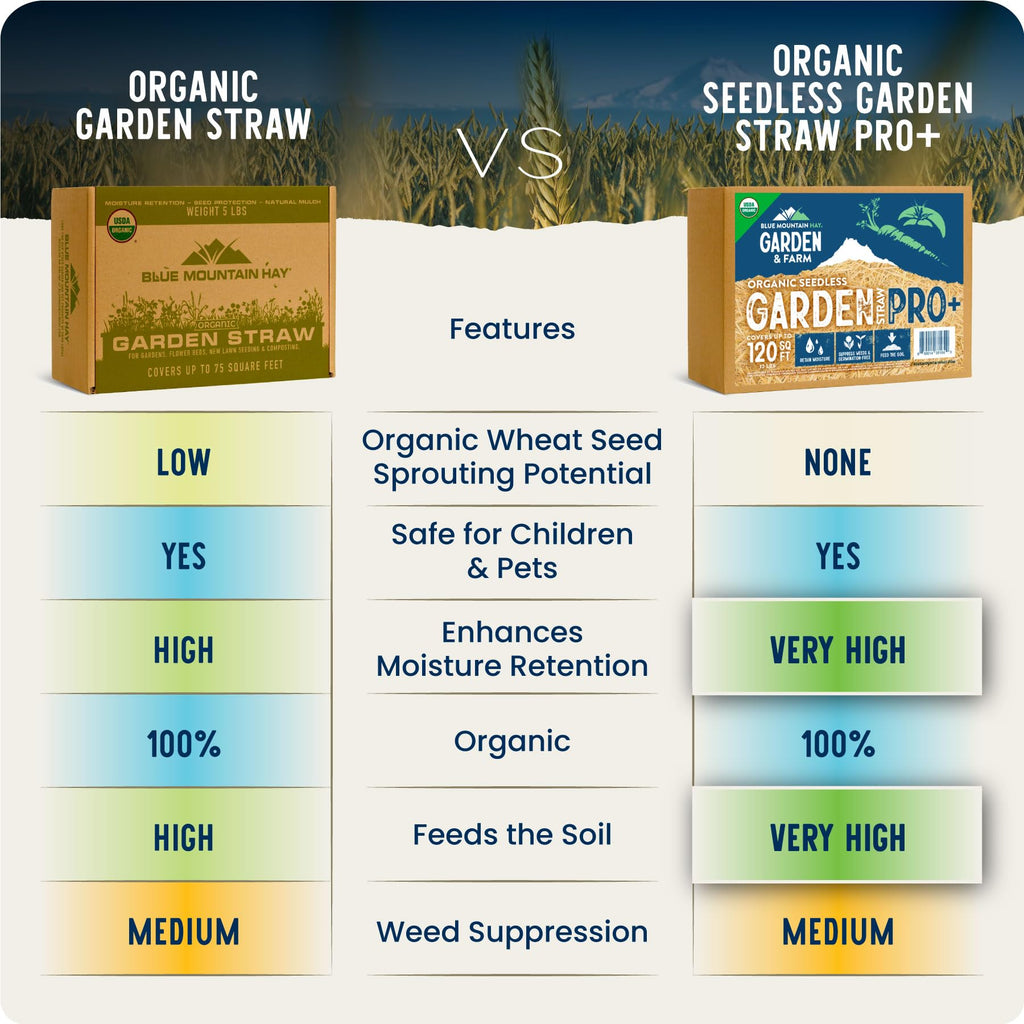 Blue Mountain Hay Organic Garden Straw (5 lb) - Natural Mulch for Gardening, Flower Beds & Landscaping, New Lawn Grass Seeding, Compost, Raised Garden Bed, Cat Grass & Grass Seed