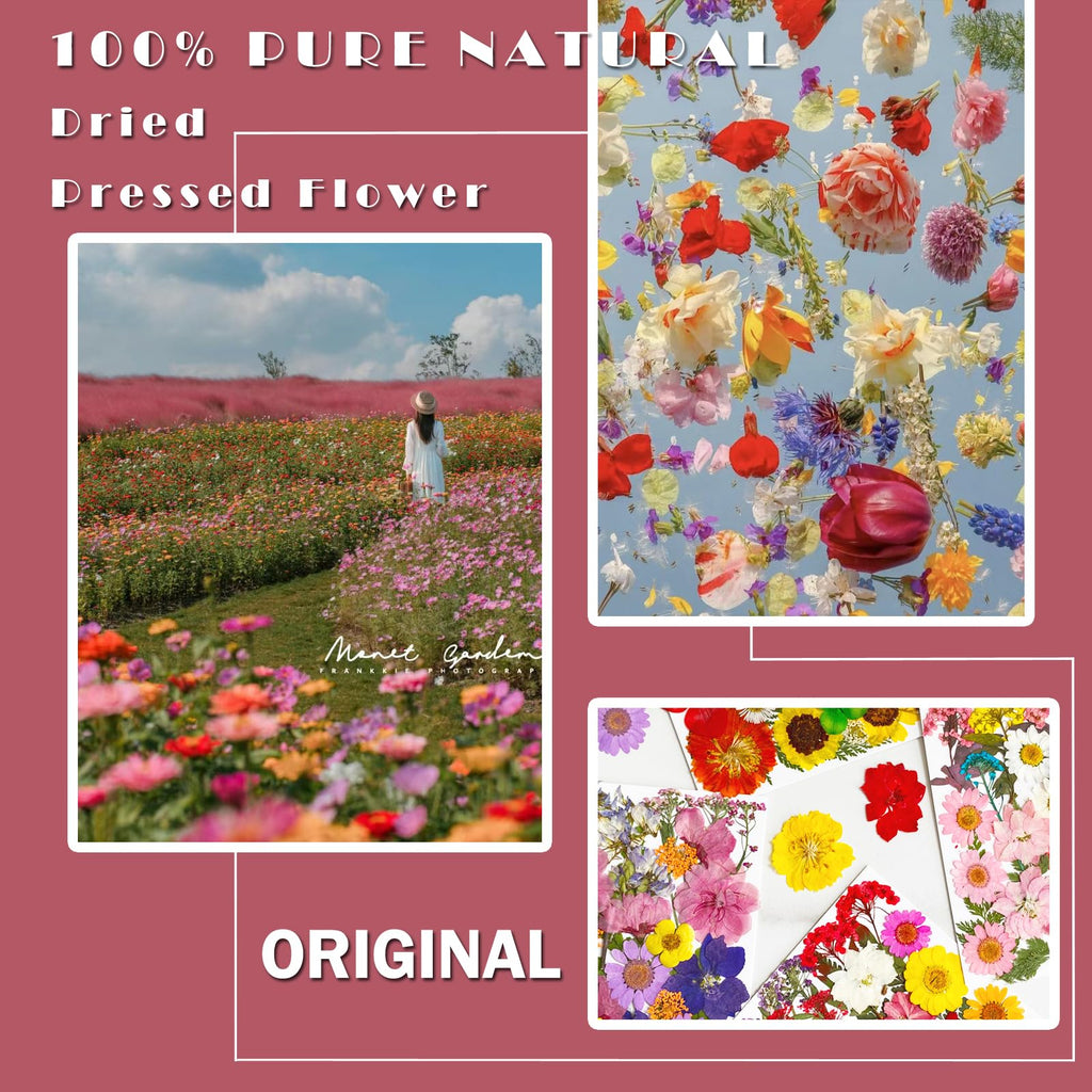 MIKIYA 98Pcs Pressed Dried Flowers for Resin Molds, Real Natural Bulk Big Dry Floral Leave for DIY Art Crafts, Epoxy Jewelry, Candle, Soap Making, Nails Decors