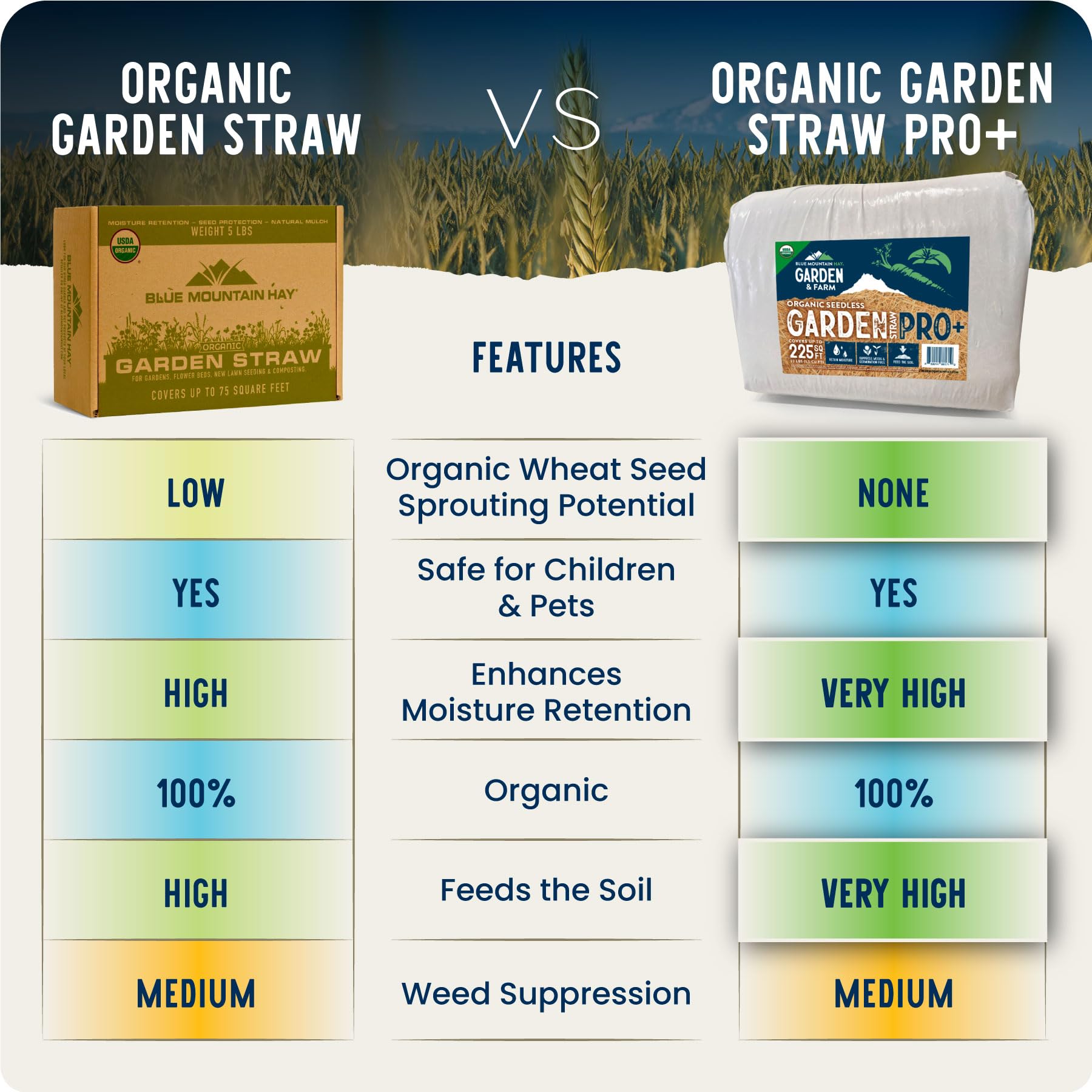Blue Mountain Hay Organic Garden Straw (5 lb) - Natural Mulch for Gardening, Flower Beds & Landscaping, New Lawn Grass Seeding, Compost, Raised Garden Bed, Cat Grass & Grass Seed