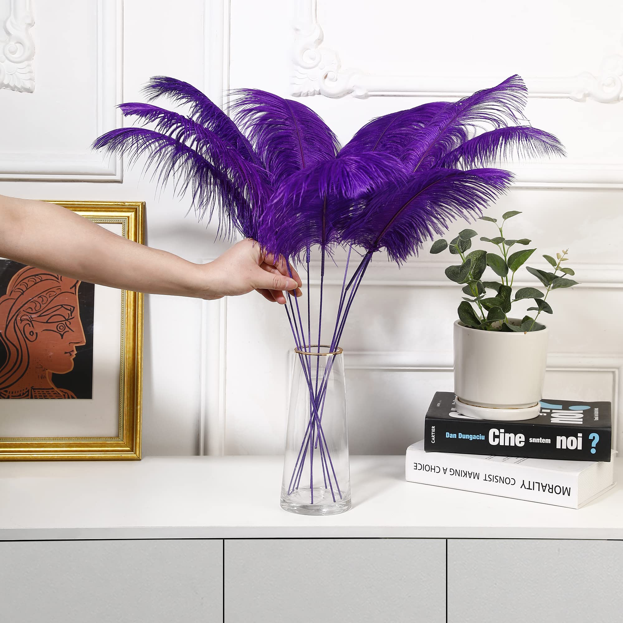 Ballinger Black Ostrich Feathers Bulk - Making Kit 12Pcs 16-18inch Large Ostrich Feathers for Floral Arrangement, Vase, Wedding Party Centerpieces and Halloween Home Decor
