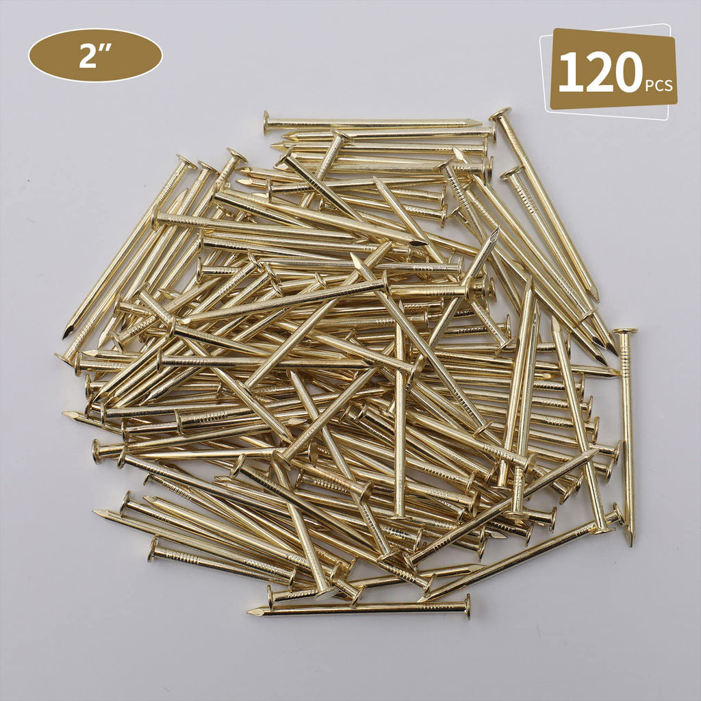 240pcs Gold Hardware Nails, 1-1/2” × 14 Ga Brass Plated Wood Nails, Nails for Hanging Wall Decor, Finishing Nails, Picture Hanging Nails, Wall Nails, Roofing Nails