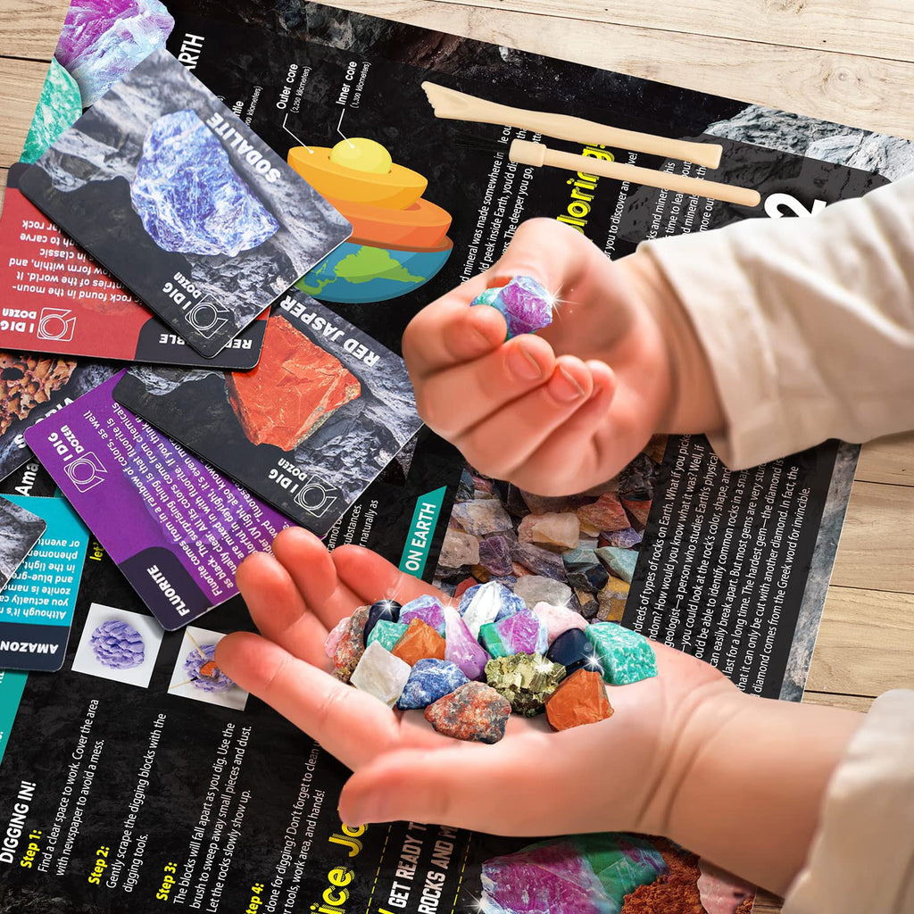 Gamerside Fossil Dig Kit - Educational STEM Science Toys for Kids Ages 6+ - Dig Up 12 Fossils Real & Dinosaur Bones Rocks - Digging Activities Kits - Paleontology, Discovery Gifts for Boys & Girls