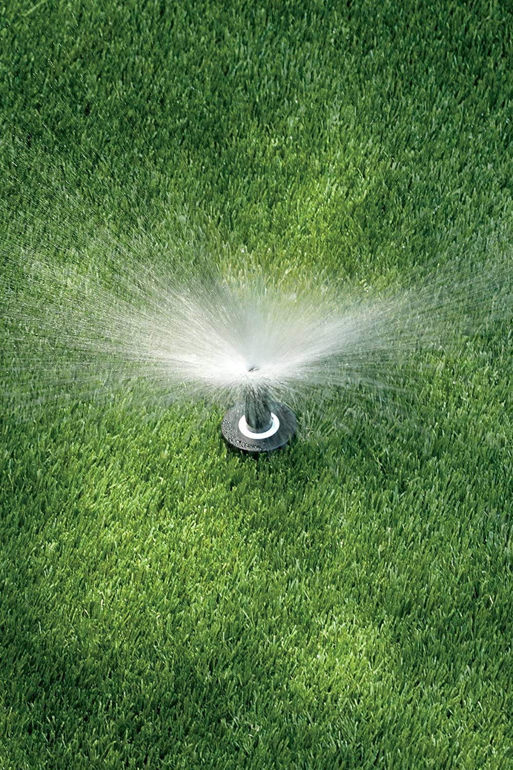 Rain Bird 1802AP4PRS PRS Professional Pop-Up, Full Circle, 3-4 Feet, 2"