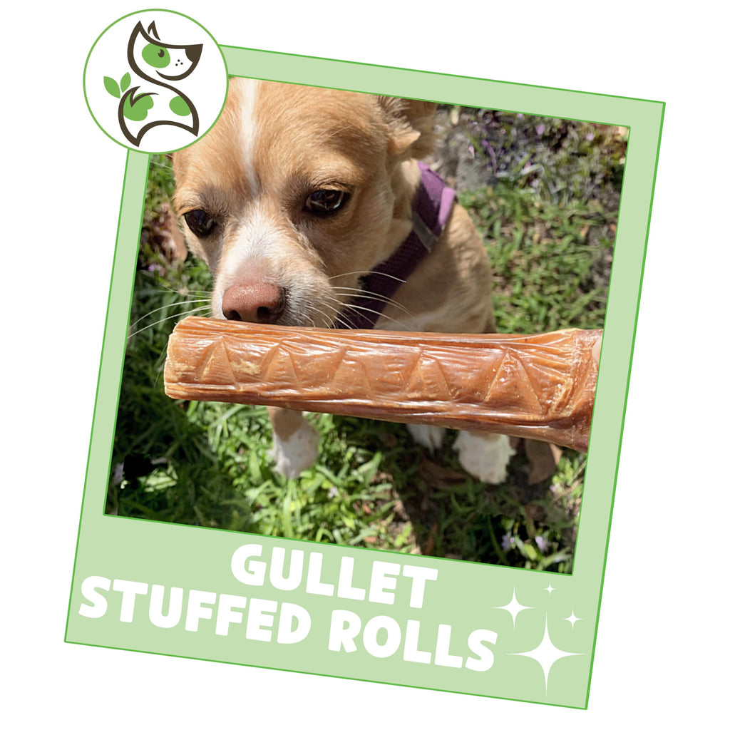 Nature Gnaws Beef Gullet Chews for Small Dogs 4-5" (20 Count) - Natural Beef Jerky Stick Dog Chew Treats - Rawhide Free