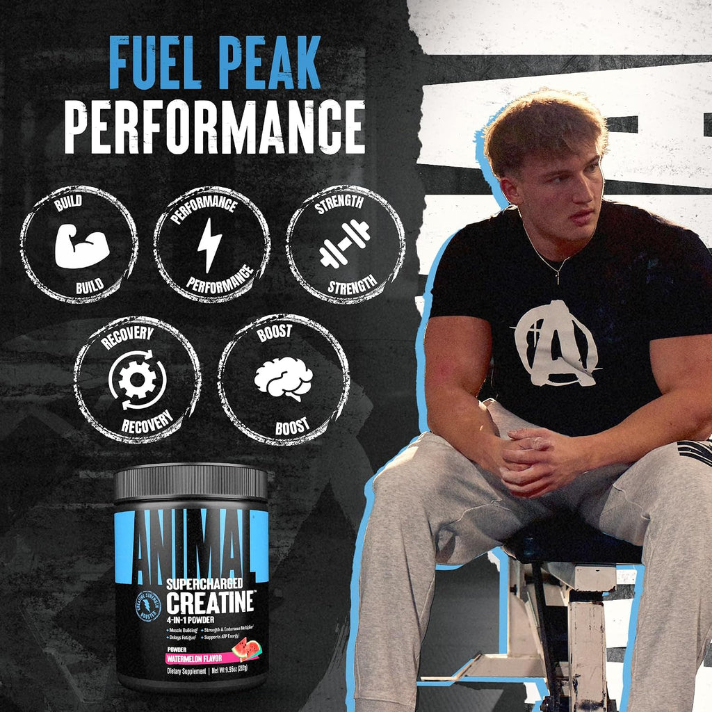 Animal Supercharged Creatine Powder - Flavored Creatine Monohydrate Enhanced with Betaine Anhydrous, PurpleForce & Senactiv, Strength, Endurance, Muscle Recovery for Men and Women - Watermelon, 300g
